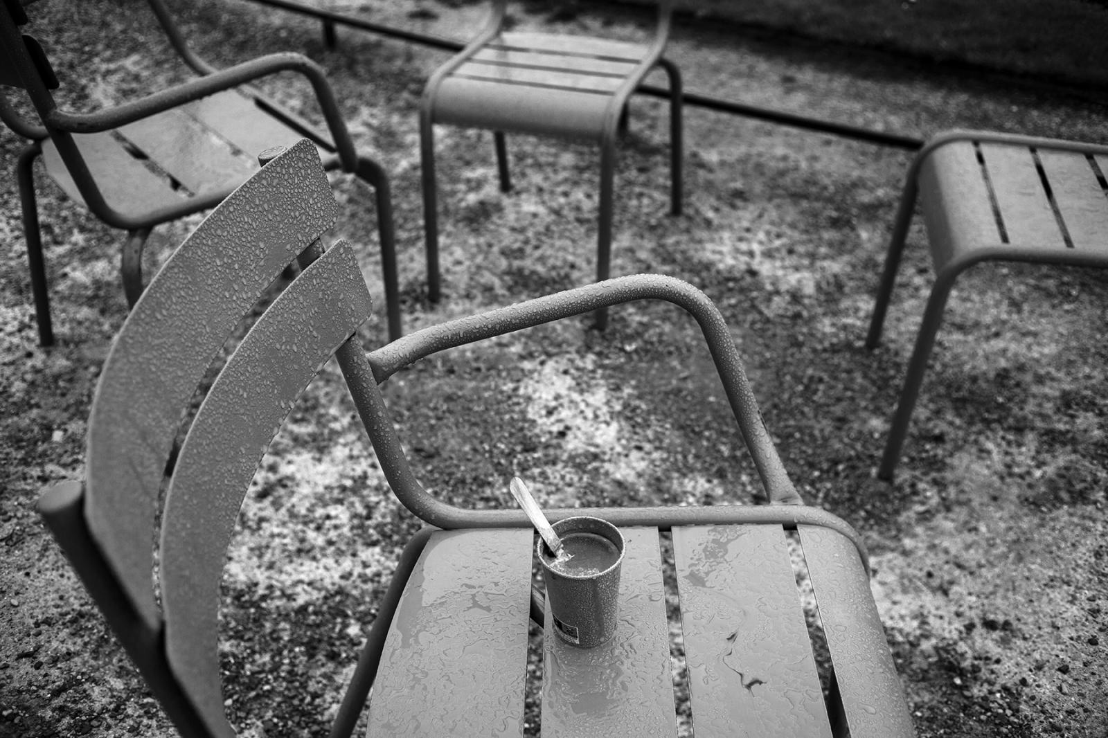 Les chaises du Jardin du Luxembourg by Robb Hill