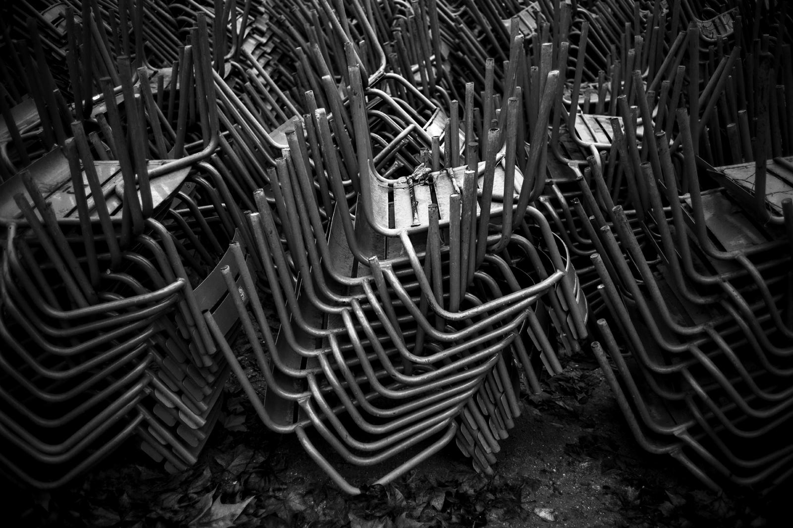 Les chaises du Jardin du Luxembourg by Robb Hill