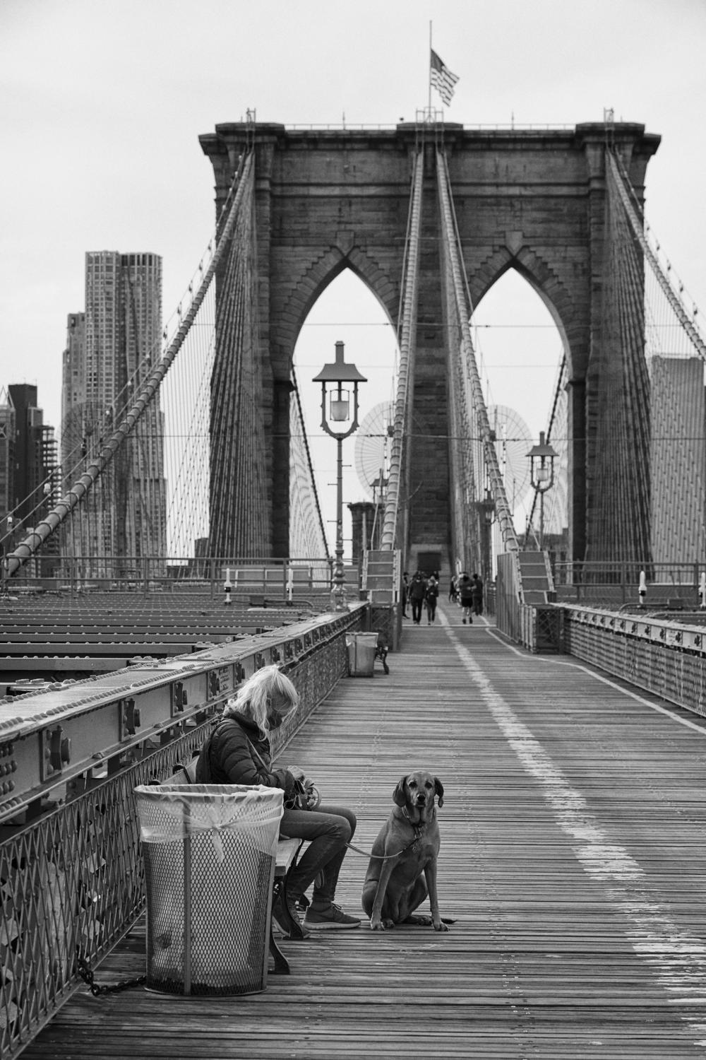 Dire Silence: NYC in Pandemic -  A woman and a dog on the Brooklyn Bridge in New York....