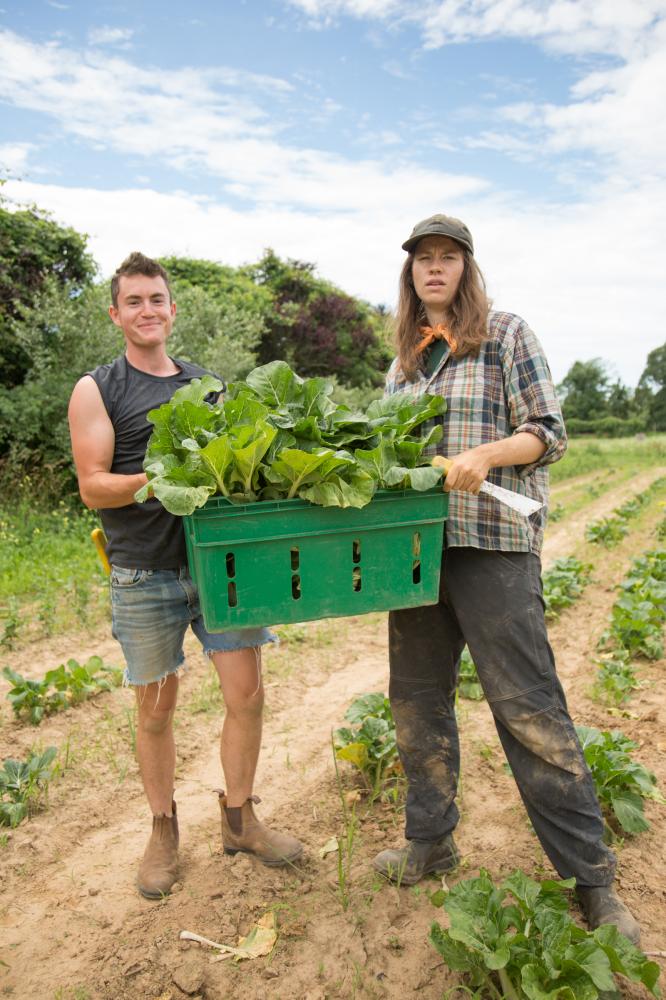 Oh, Farmer - Lindsay Morris