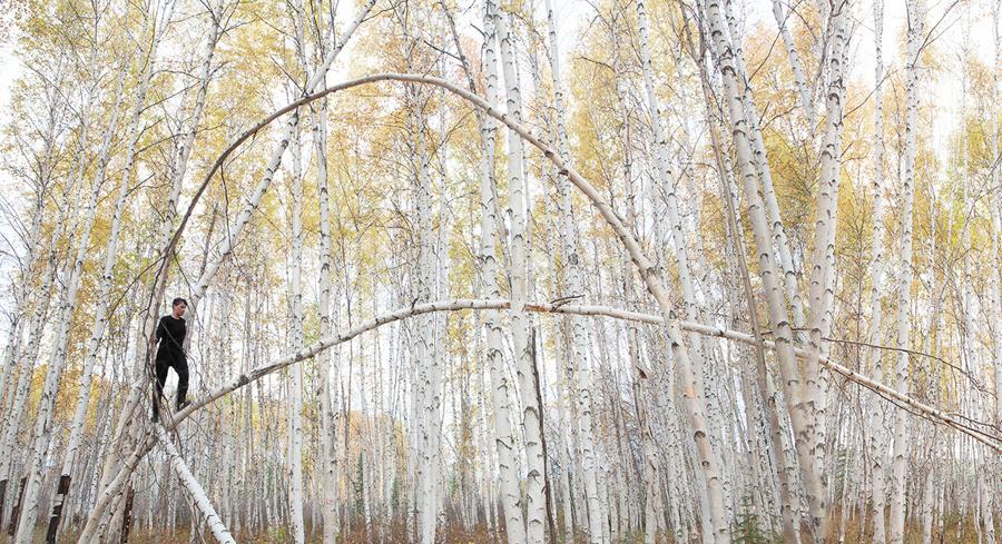 Exercises for moving in between - Birch study - Alaska (video still)