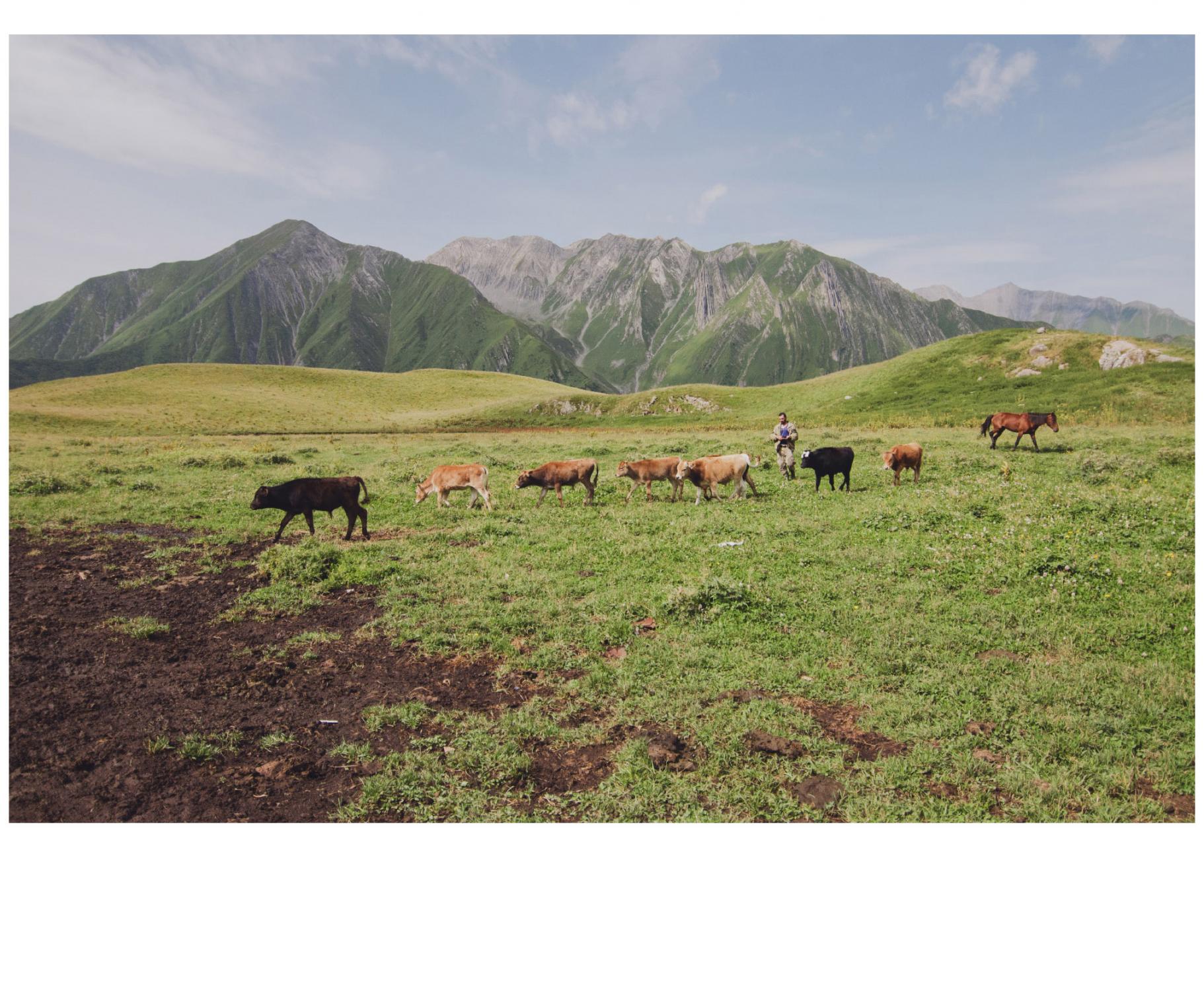A Day in the Caucasus Mountains - 