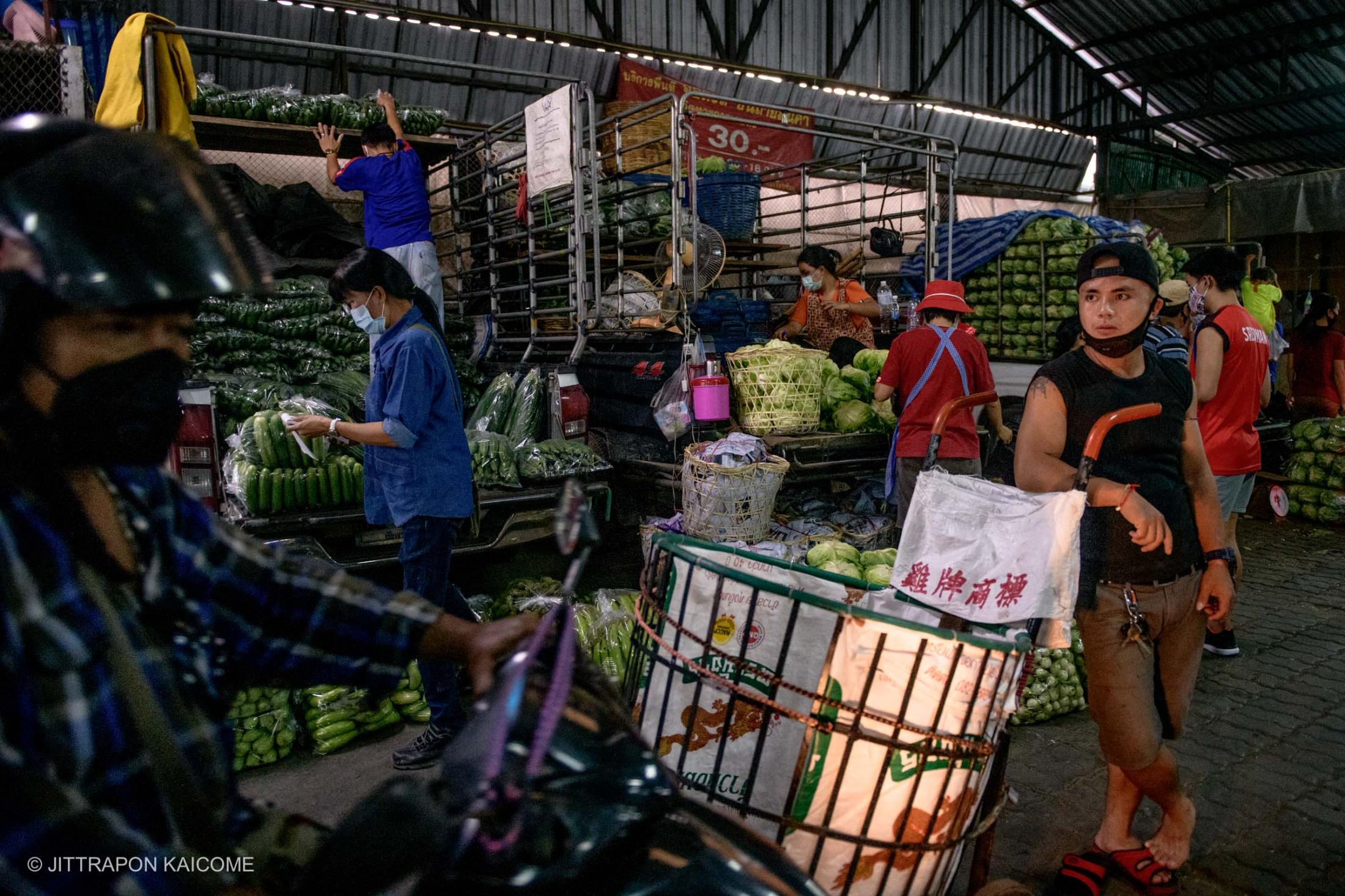 Migrants Behind Lockdown  - Shan migrant workers transpose fresh vegetables from...