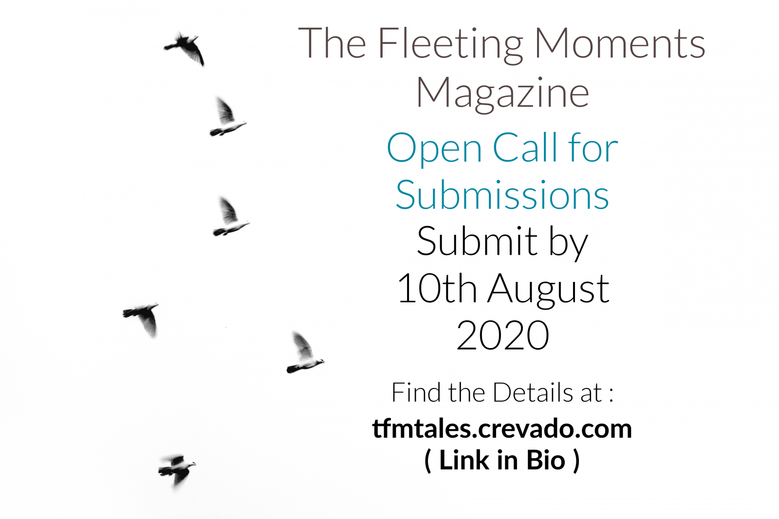 OPEN CALL : SUBMISSIONS FOR THE FLEETING MOMENTS MAGAZINE