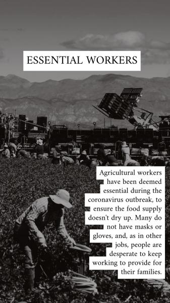 social media production - Essential Farm Workers