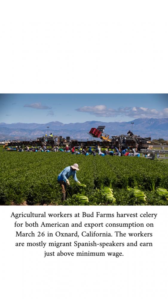 Essential Farm Workers
