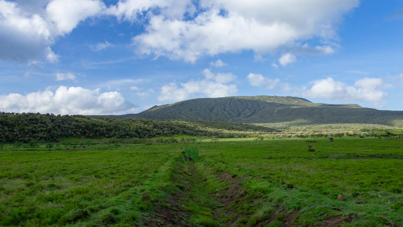 view of mount longonot just after entering Olongonot national park