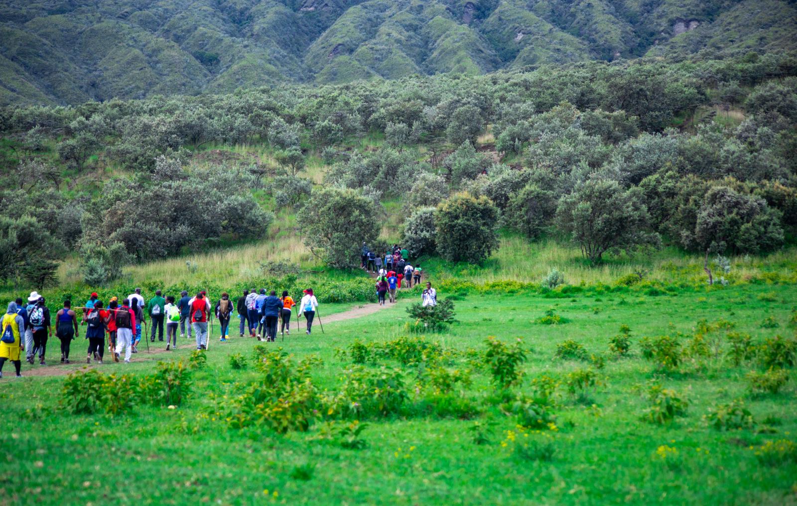 a group of hikers taking their route to the top of the mountain