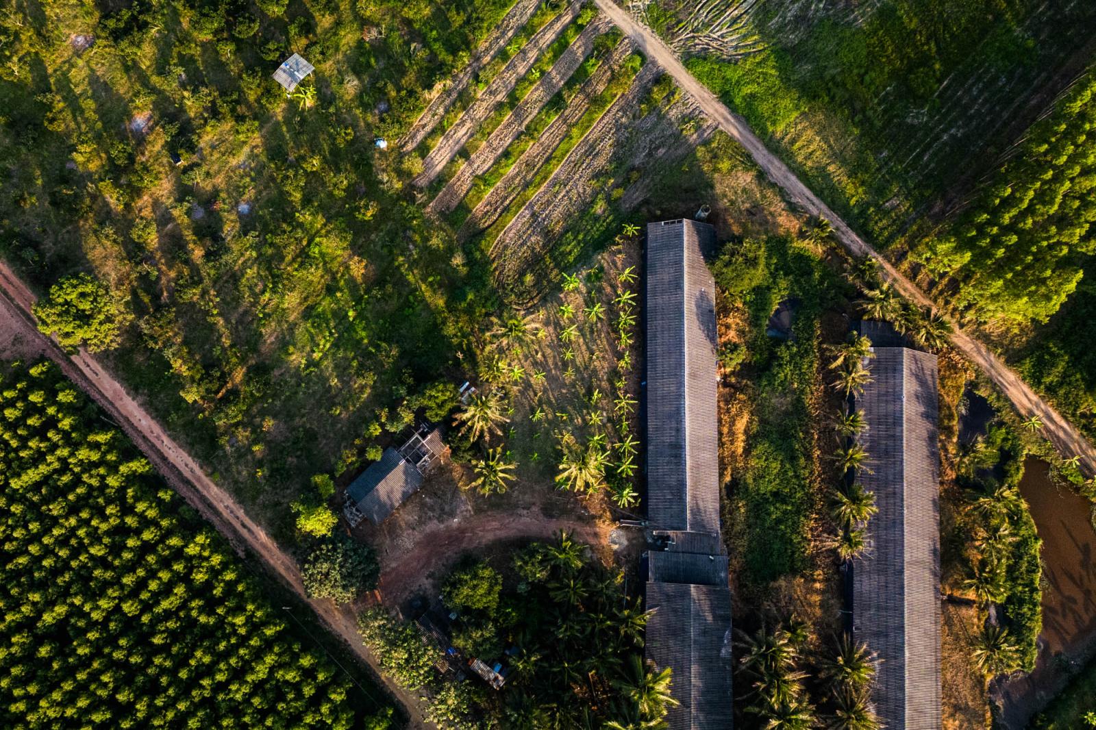 A drone photography shows an ae... rural Thailand, November 2022.