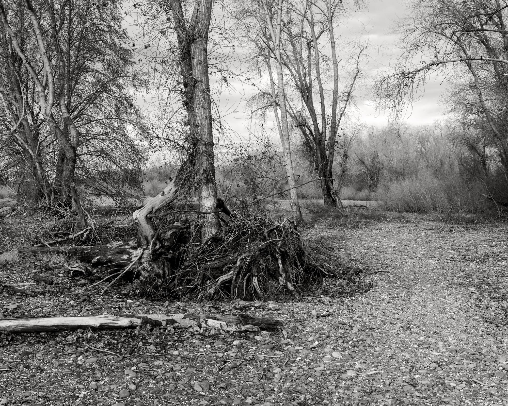 River -   