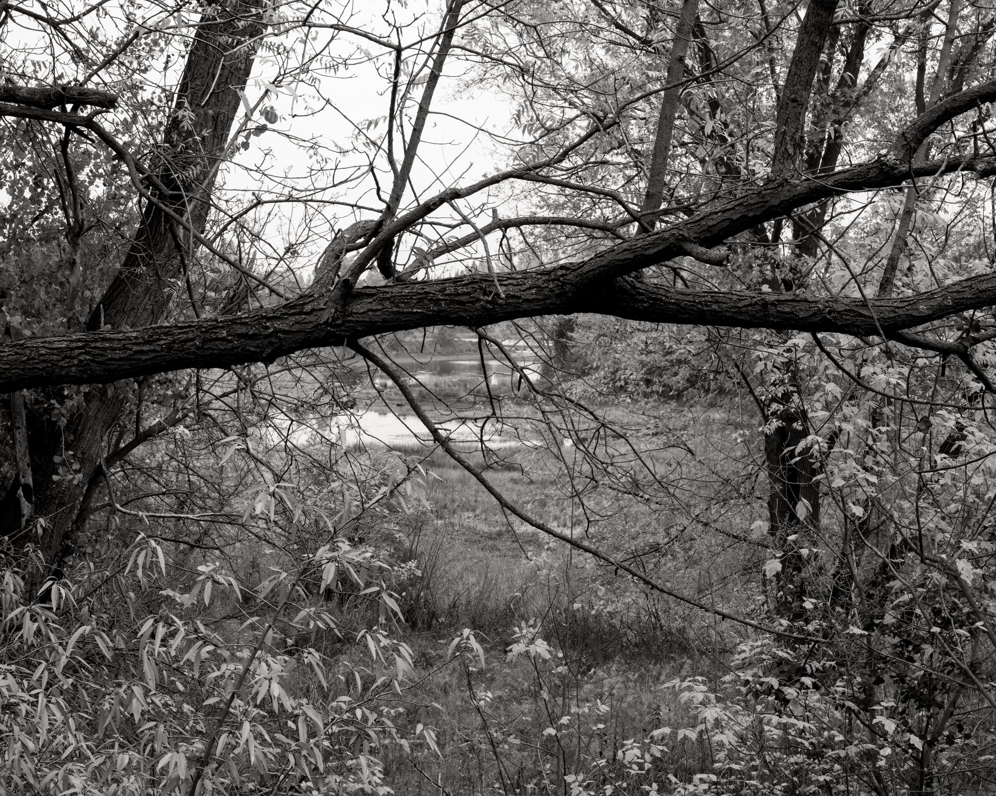River -   