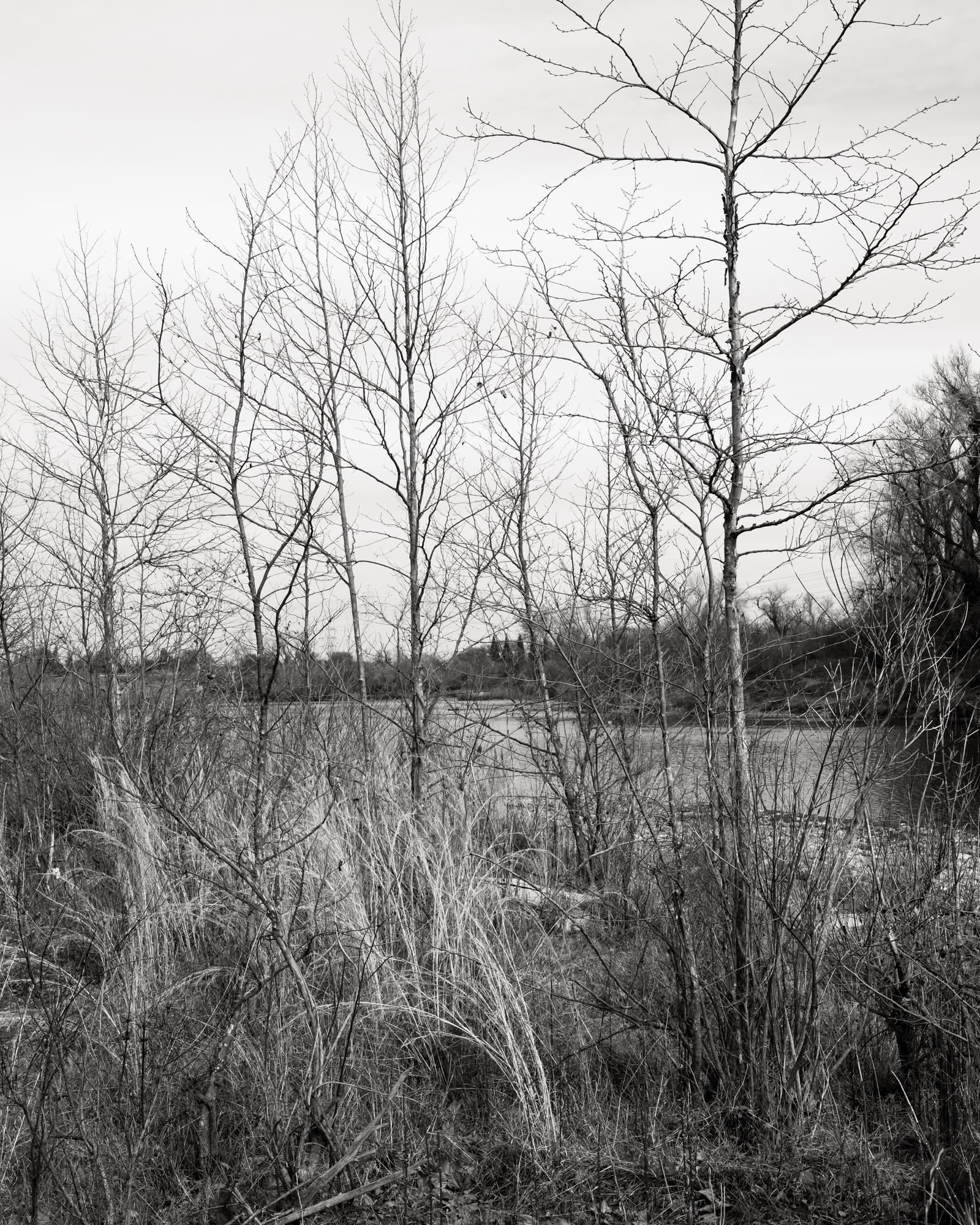 River -   