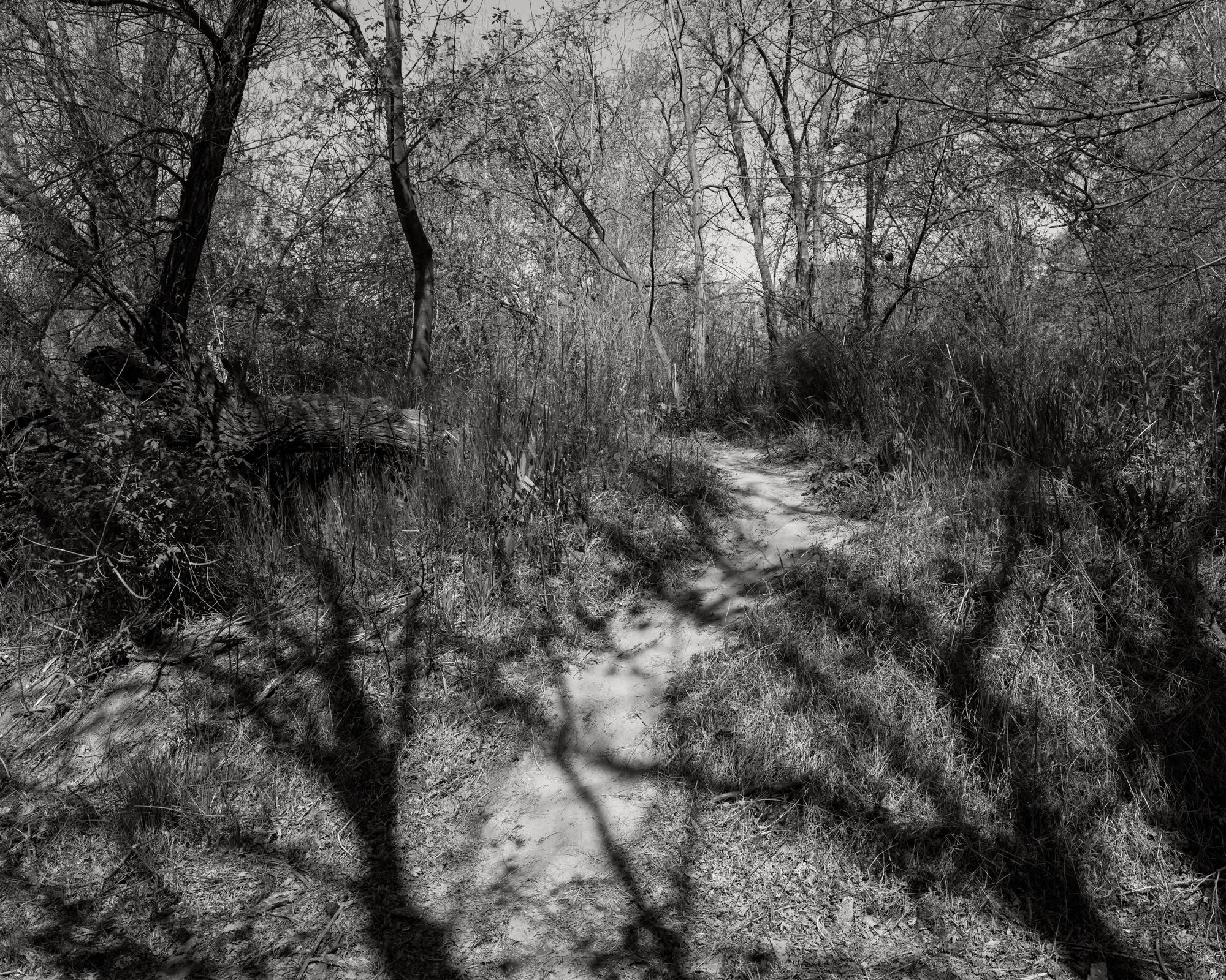 River -   