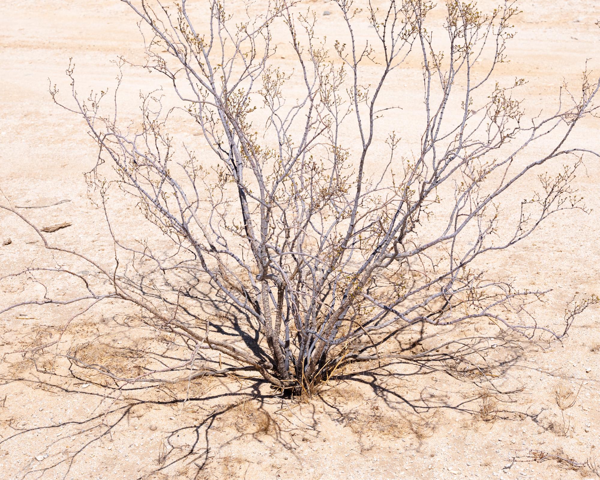 Mediations -   