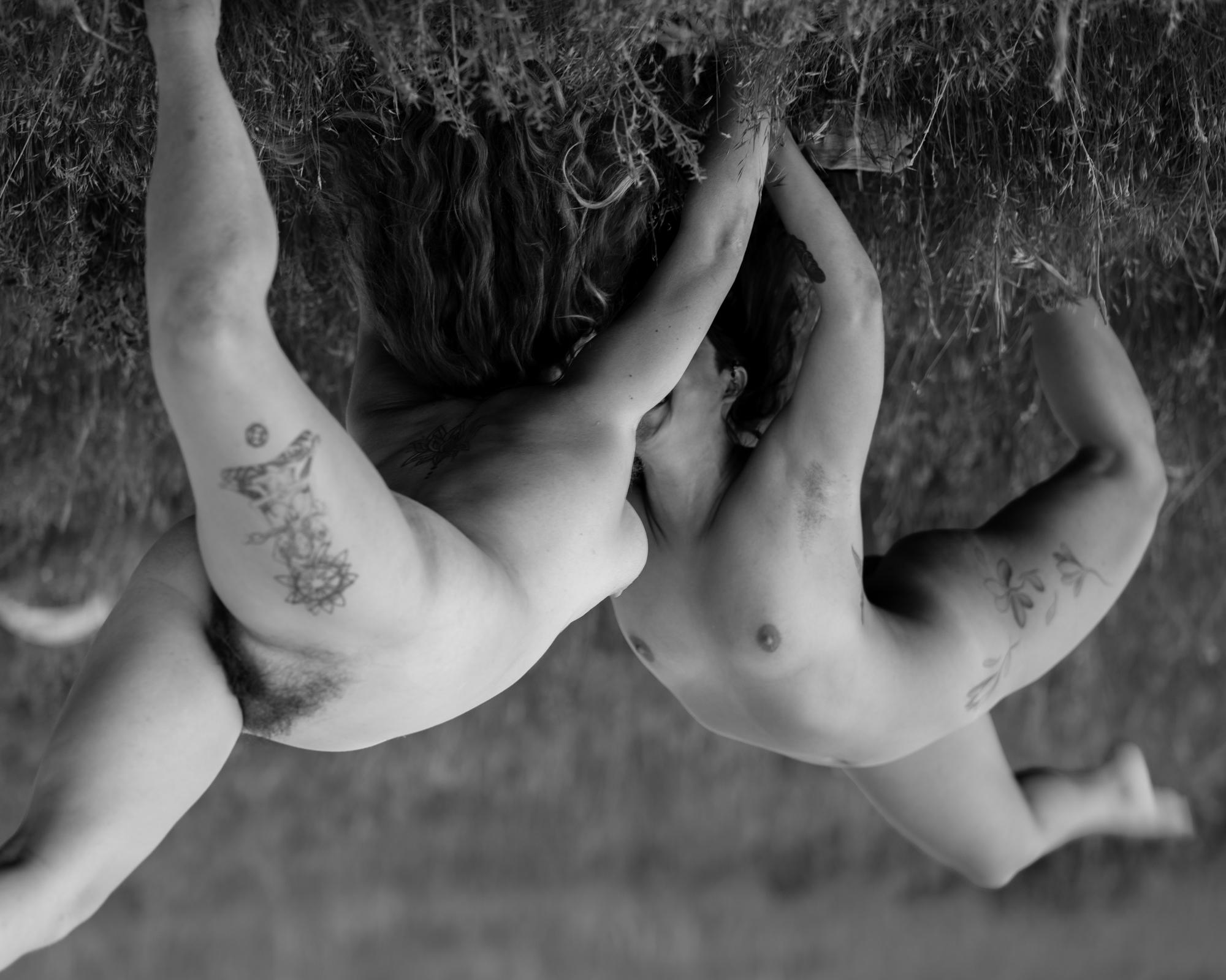Body/Land -   