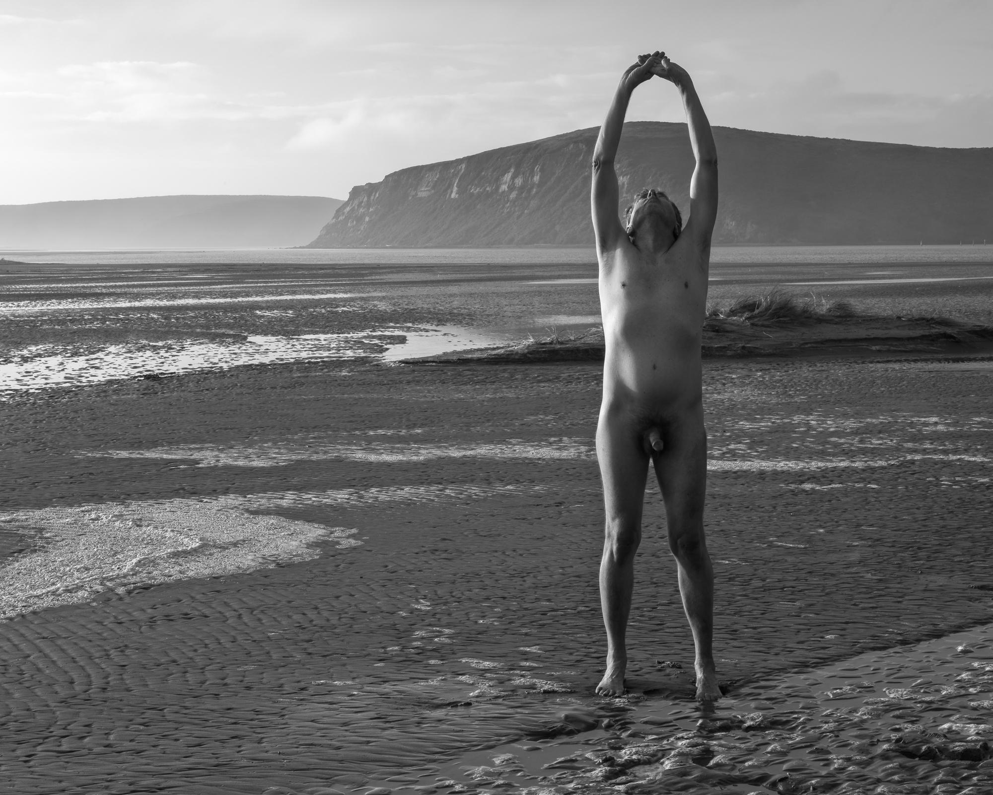 Body/Land -   