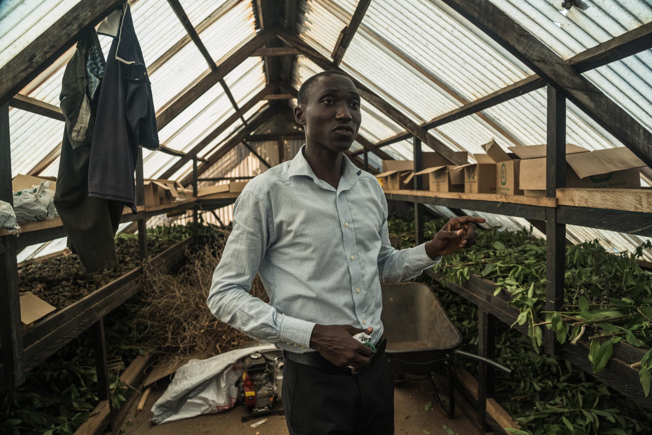 Spirituality and Herbal Medicine in Ghana During Covid-19 Pandemic -   The nursery also generates income for the Centre...