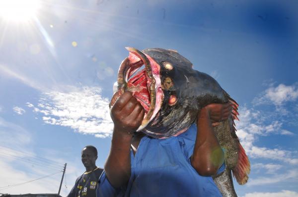 Image from 2013 NATURE CATEGORY WINNERS  -  Matthias Mugisha  1st Place, Nature  A fisherman carries...