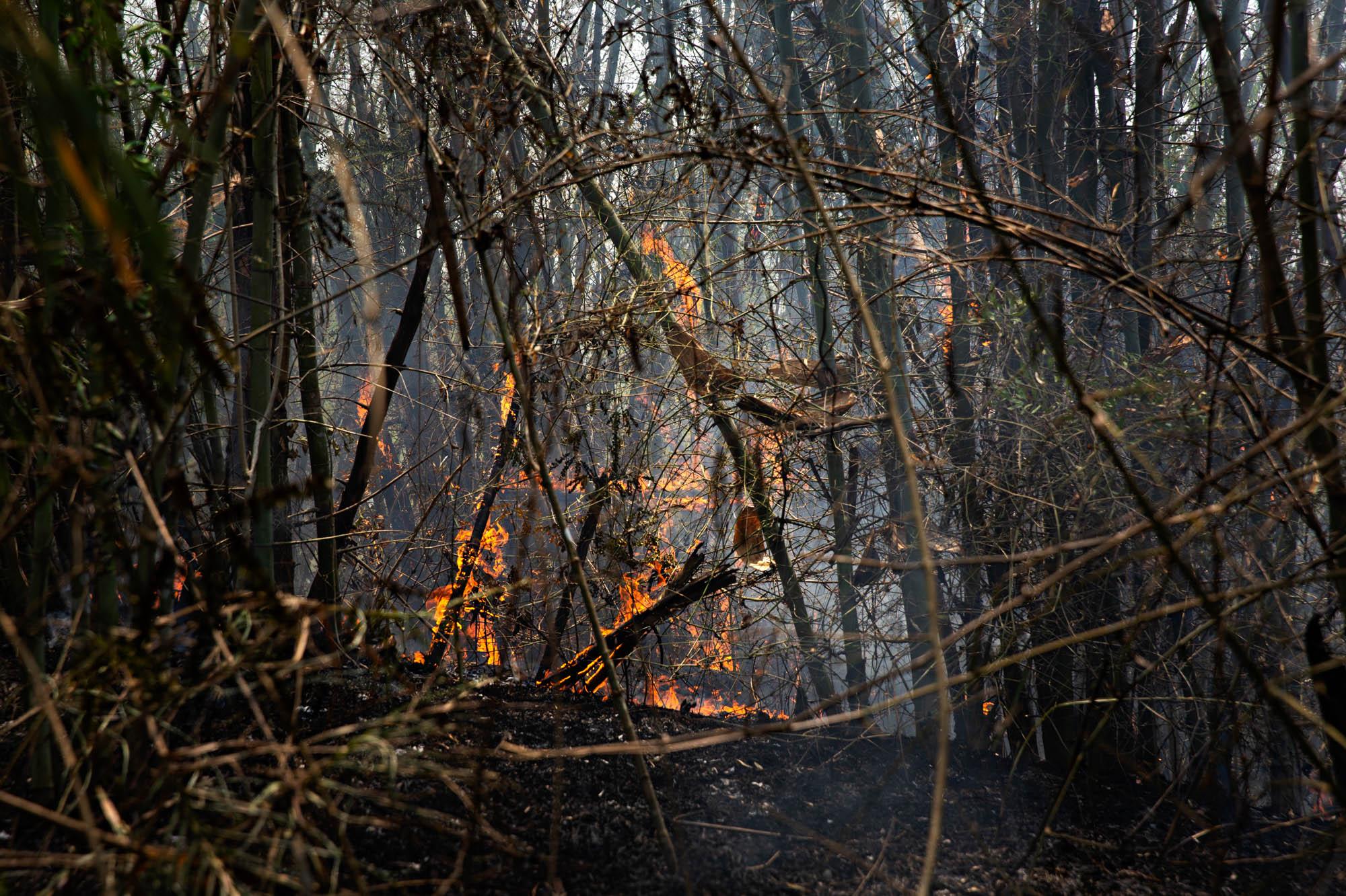 Thailand Burns - A forest fire burns near the Thai-Myanmar border, April...