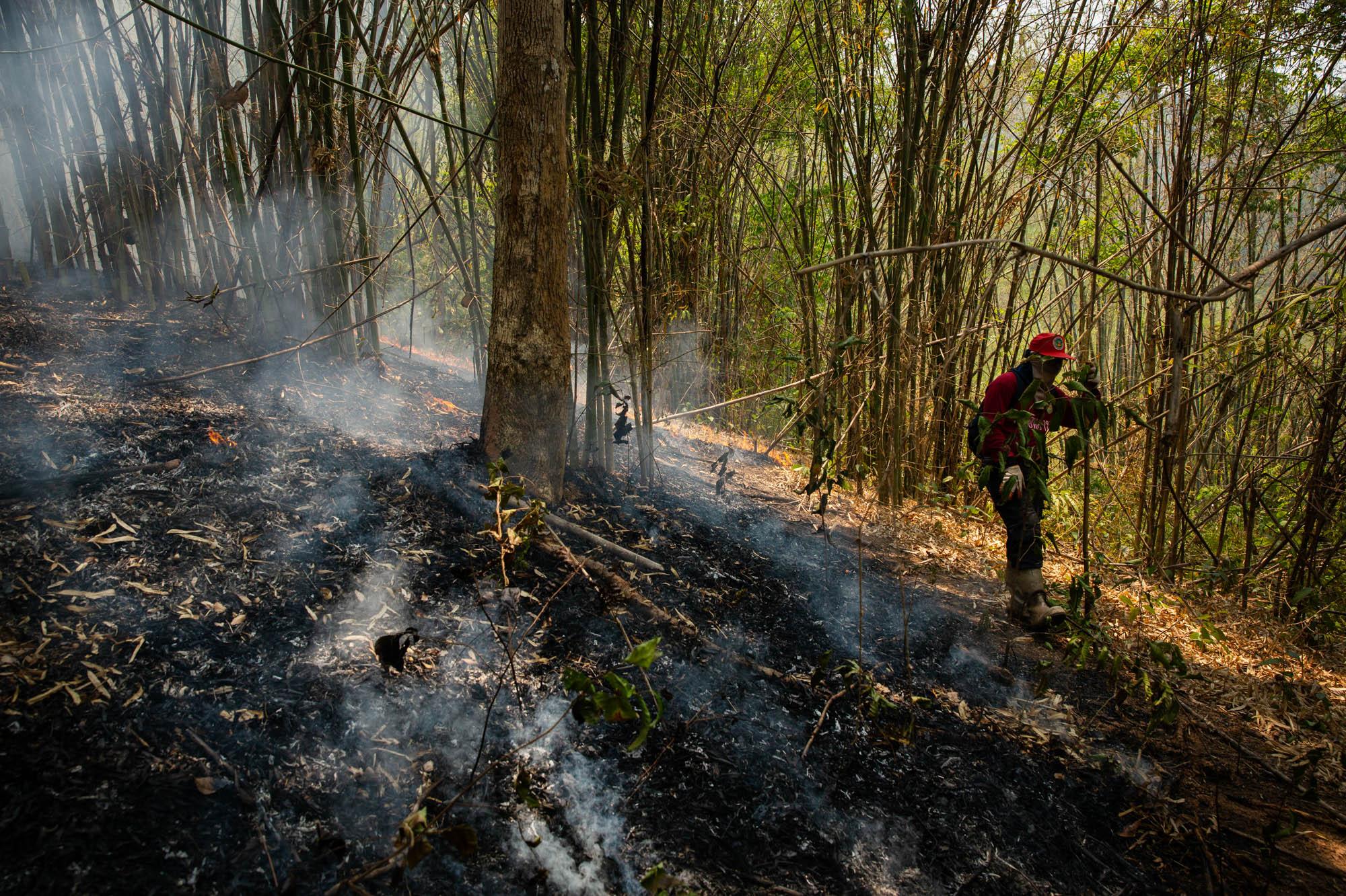 Thailand Burns - The smoking remnants of a forest fire near the...