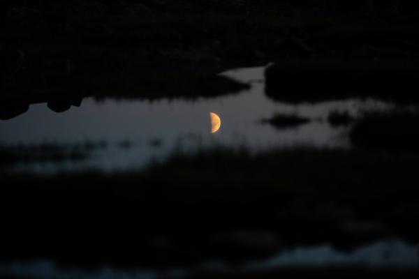 Image from Six Arctic Seasons - July 2020 Moon river