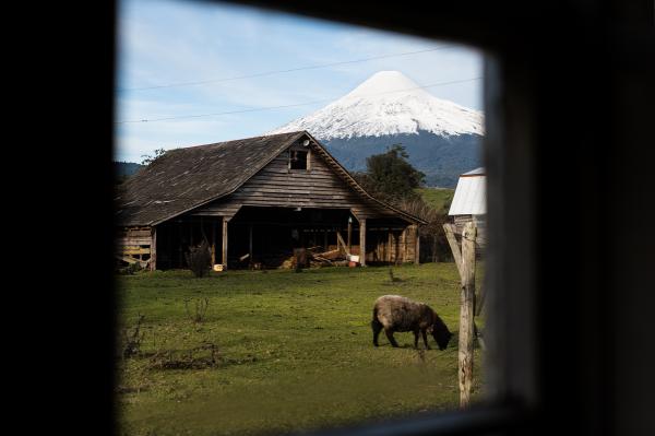  From his farm in southern Chile, Hugo says the Osorno Volcano is majestic, imposing, and the most beautiful in the world. While this view has been with him every day, he often confuses it with other volcanos.&nbsp; &nbsp;  