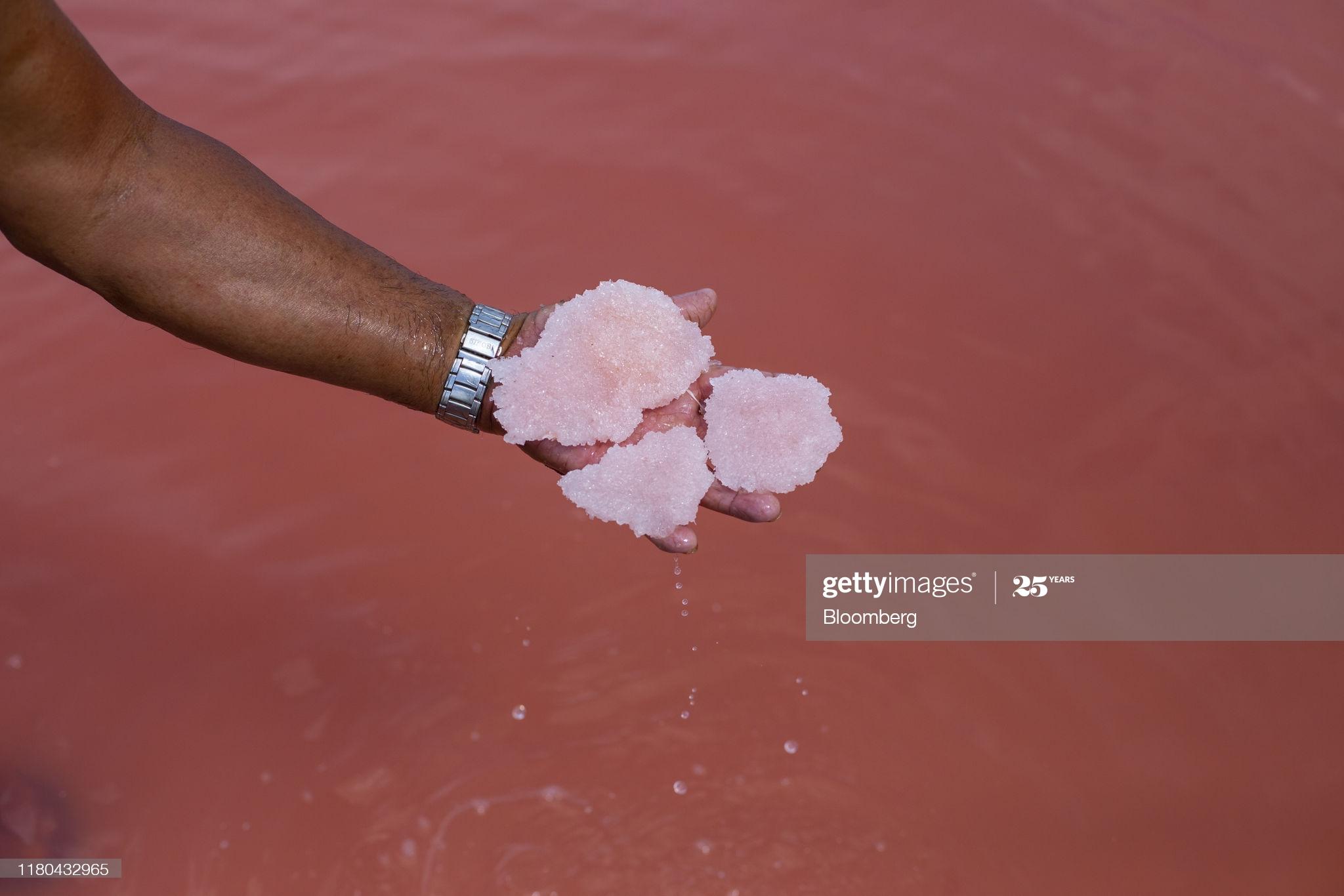 Art and Documentary Photography - Loading gettyimages-1180432965-2048x2048.jpg