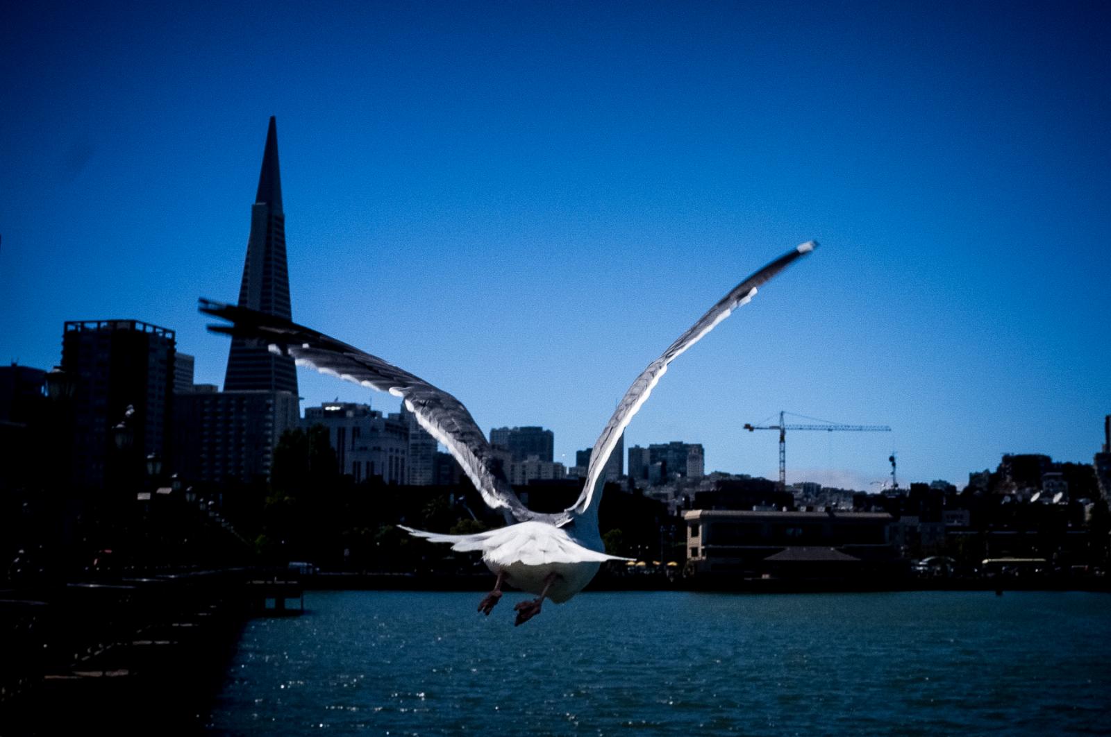 Image from Aesthetic - Embarcadero, San Francisco.