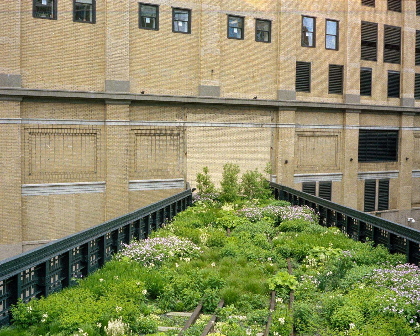 Image from Aesthetic - The High Line, Manhattan, NY