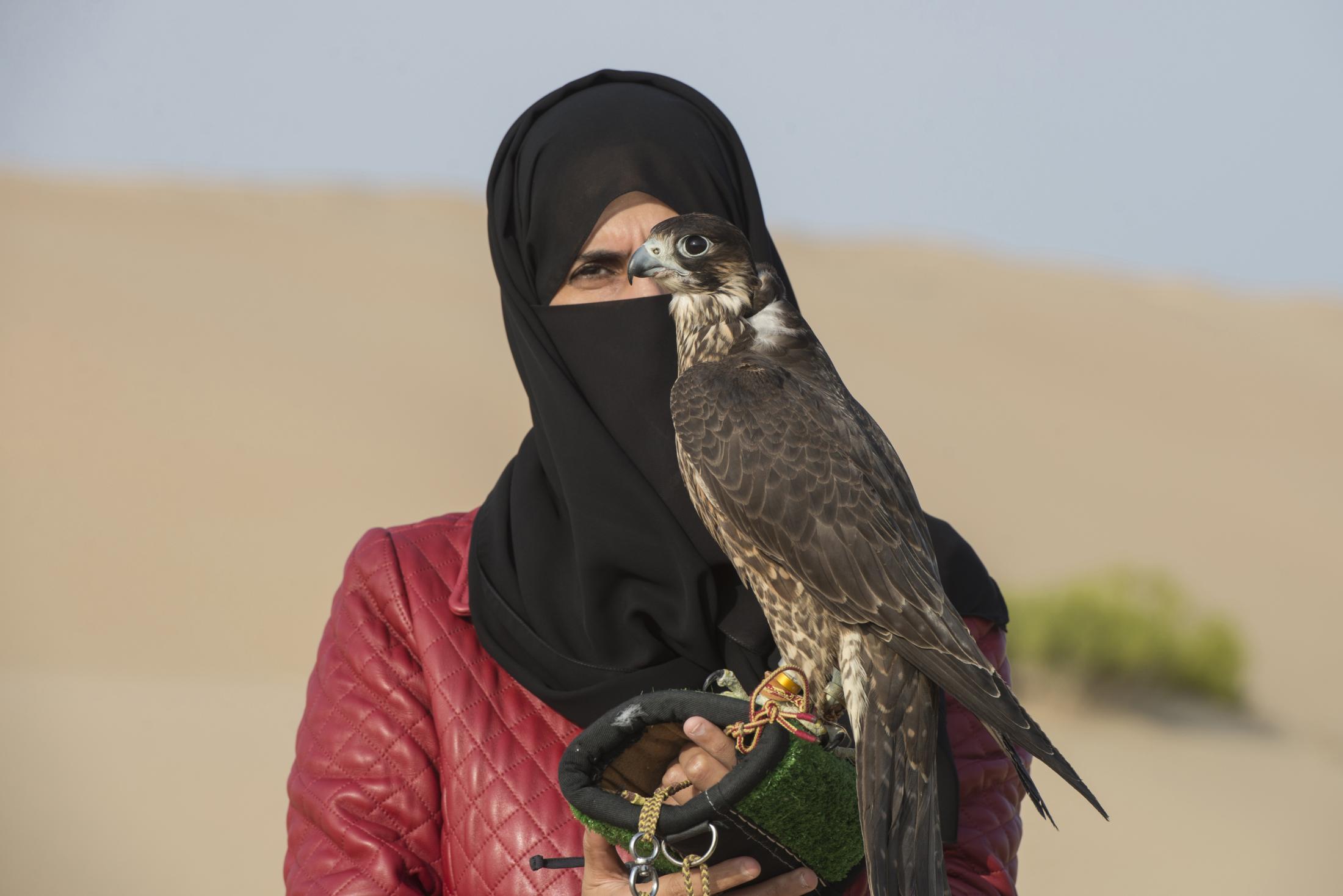 UAE : Women Breaking Stereotypes with Falconry -  Ayesha Al Mansoori is the head trainer at the Abu Dhabi...