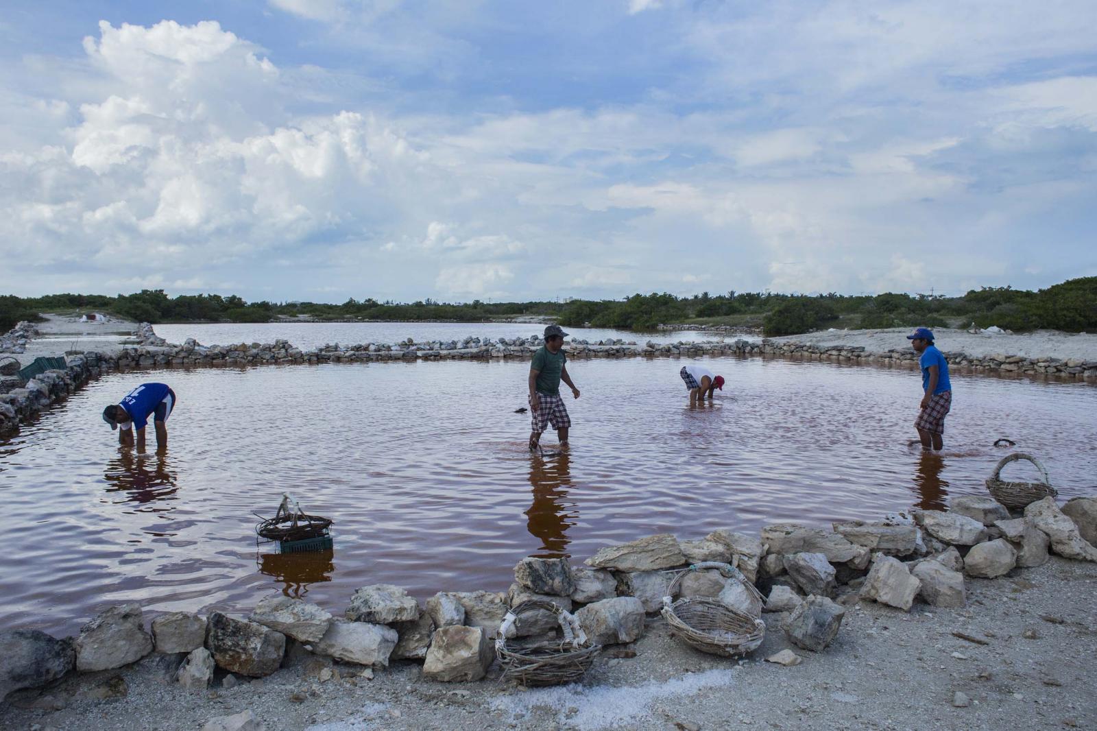 Workers during the salt harvest inside a pond in Xtamp&uacute;, Yucat&aacute;n state, Mexico, on Saturday, October 26, 2019. Photographer: Koral Carballo/Bloomberg