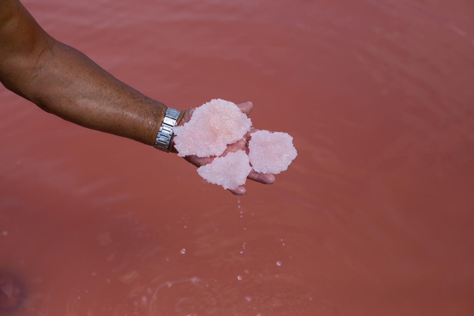 Bloomberg News - Salt Harvest  - A worker shows salt blocks inside a pond in...
