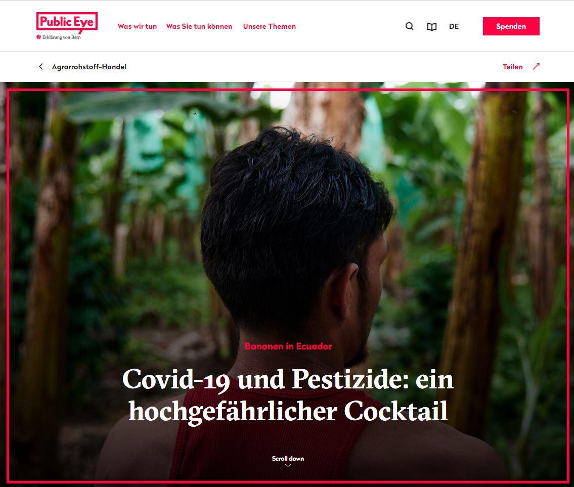 On Public Eye: Covid-19 and pesticides, a highly dangerous cocktail