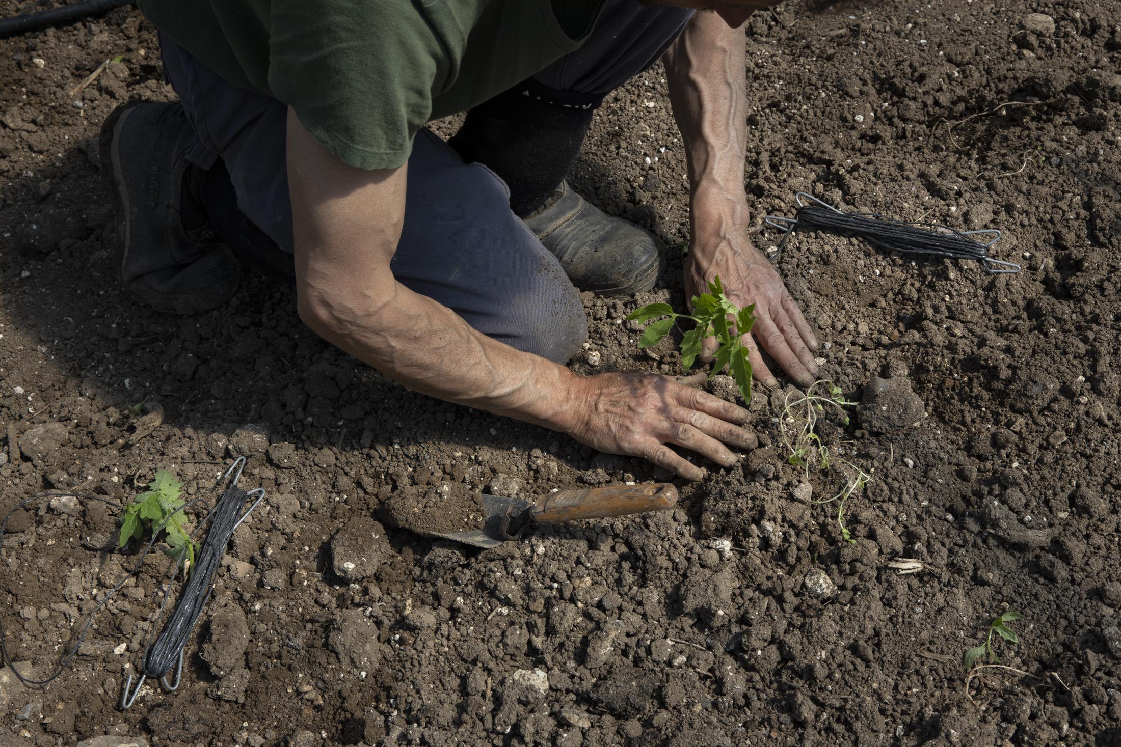 A Possible Agriculture - Yves-Anne Auffret, 50, handly prepare the soil and plant...