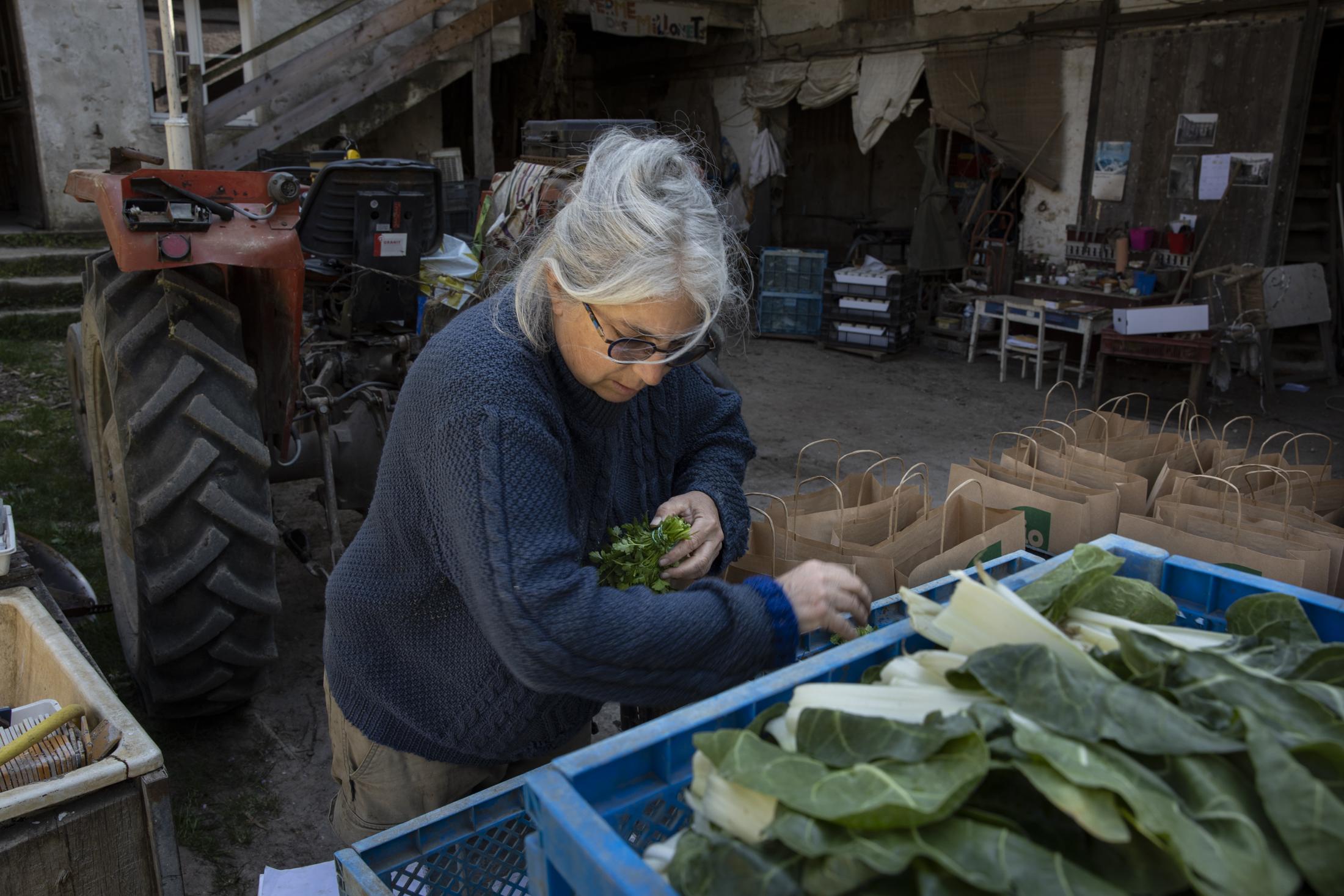 A Possible Agriculture - Sophie Dutly, 59, is handly preparing vegetable baskets...