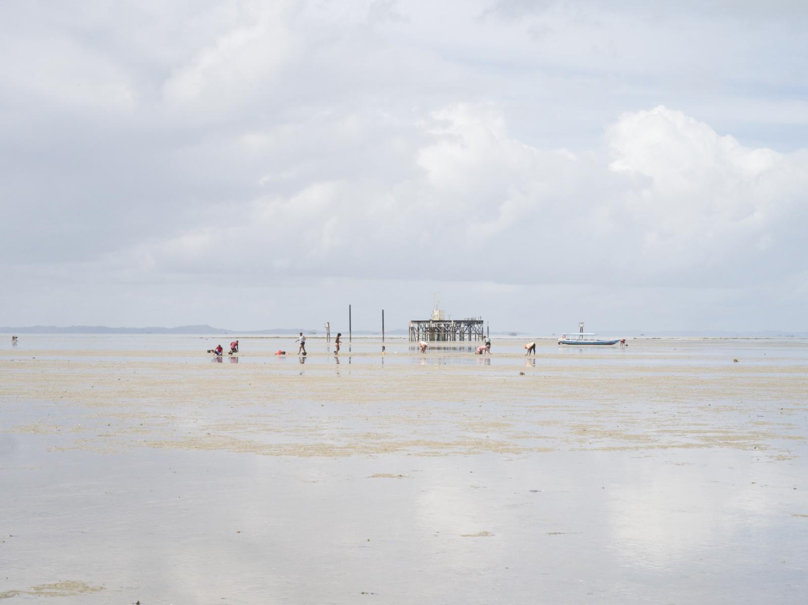 Ilha da Maré, Bahia. Shell coll...f Ilha de Maré. Salvador Brazil