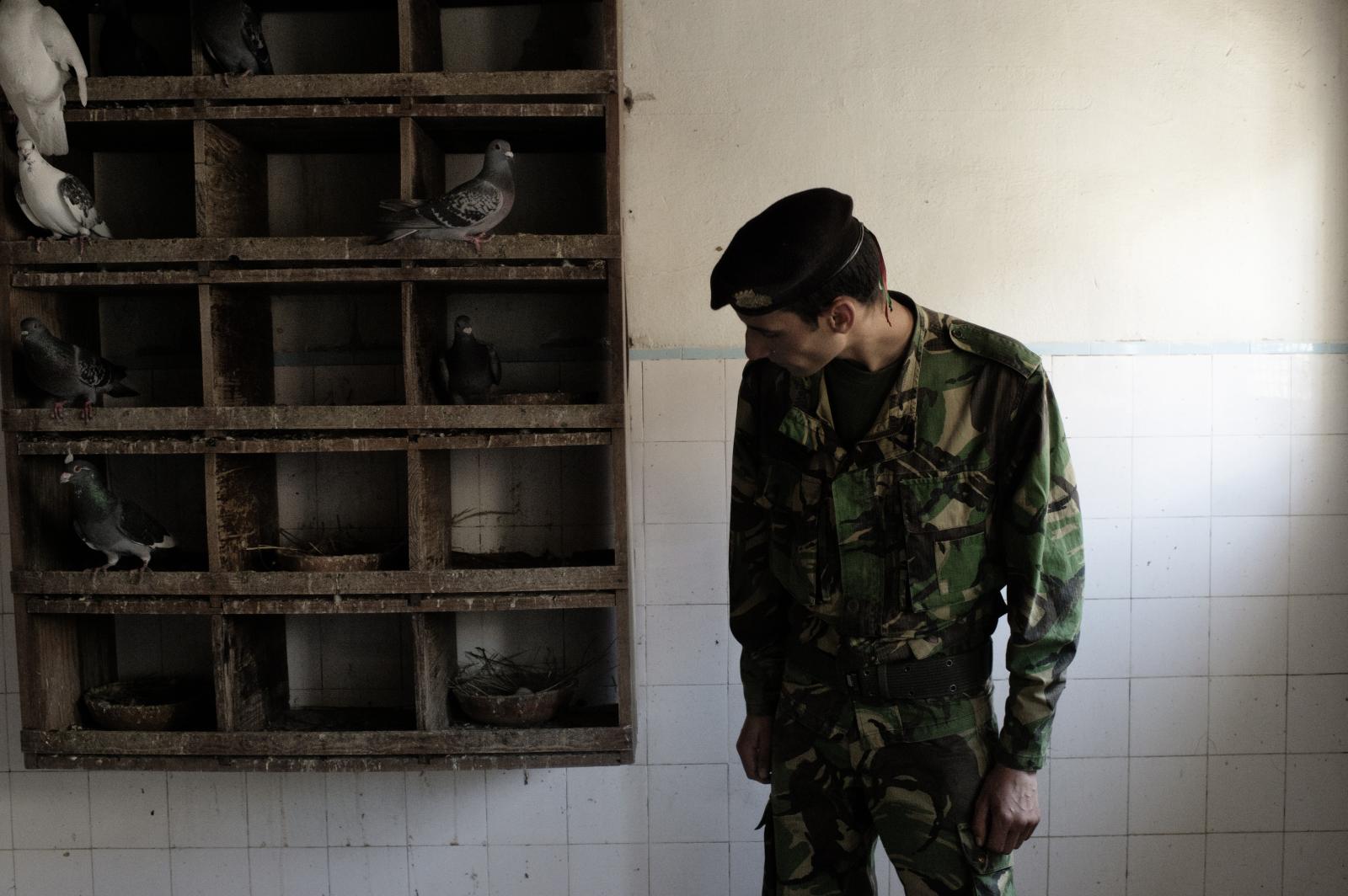 Born to Fly - The soldier that take care of the military pigeon check...