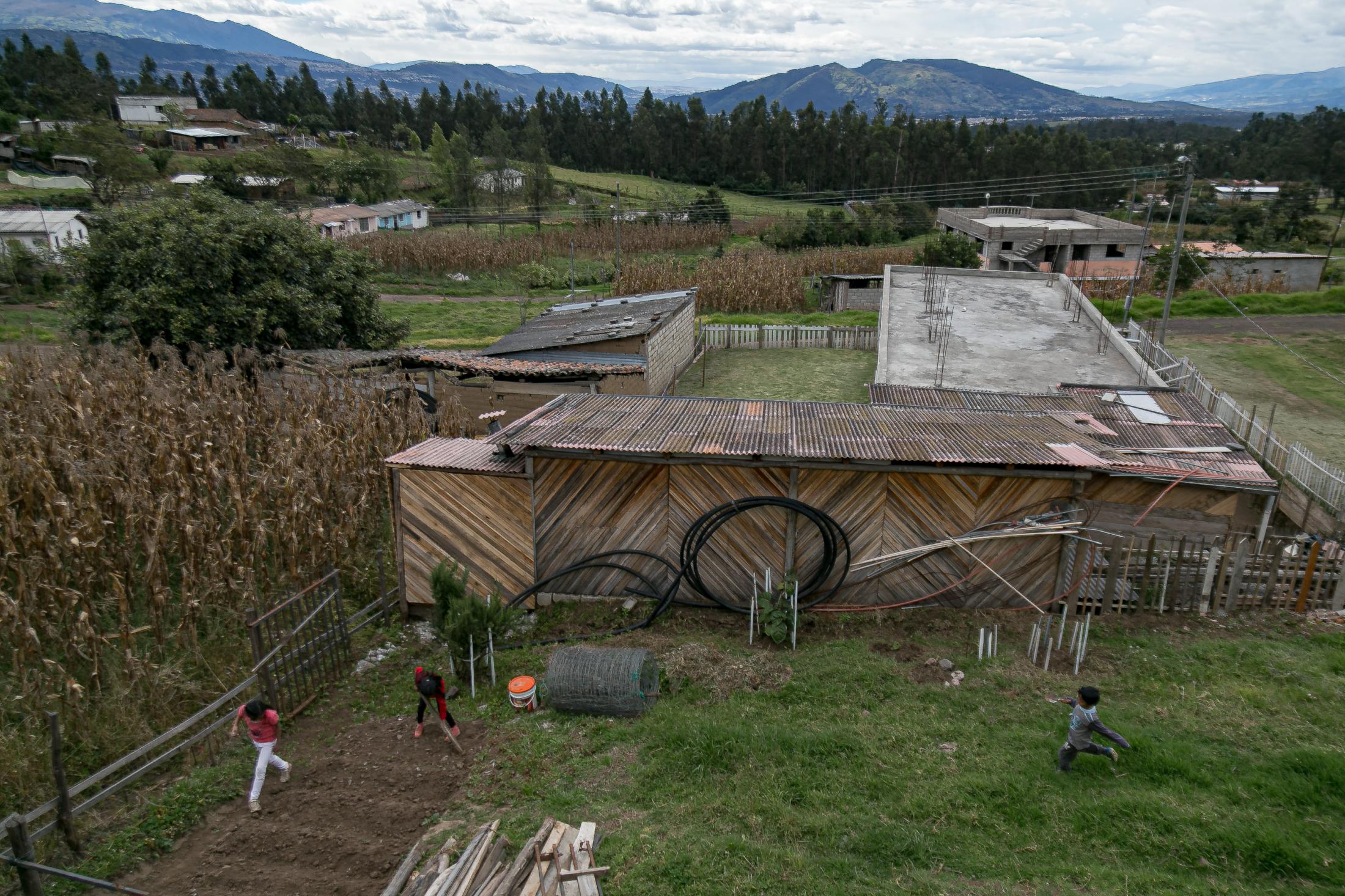 Sofia Andrade (11), Sarah&iacute; Andrade (9) and Angelo Andrade (7) play in the fields of their home located in Patagua, one of the most remote neighborhoods of the rural parish of Cotogchoa. May 22nd, 2020. Cotogchoa-Ecuador. Andr&eacute;s Y&eacute;pez.&nbsp; Daily life in rural areas has been affected differently than in urban areas. Their confinement is not limited to being indoors. The countryside is part of their home.