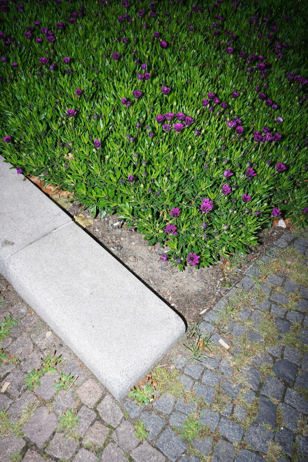 /ˈsɪnθɪsɪs/ - إختلاق
