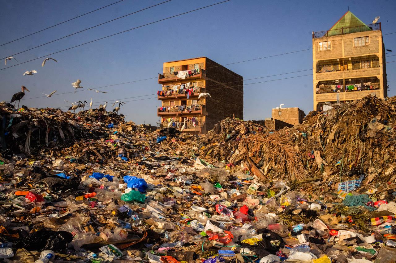 Birds scavenge on piles of waste at the Dandora Landfill in Nairobi, Kenya.