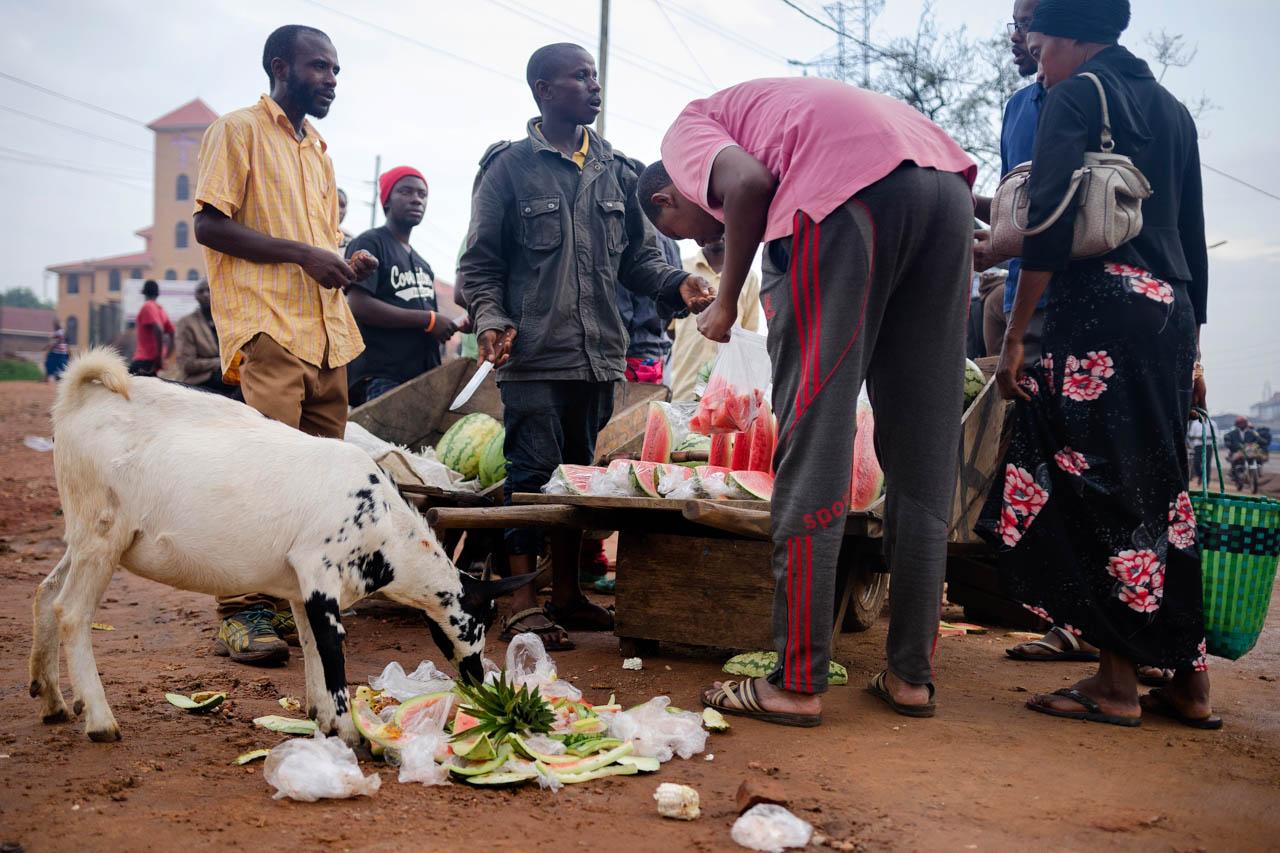 A goat eats from a pile of garbage and polythene bags beside a food stand in Kampala.