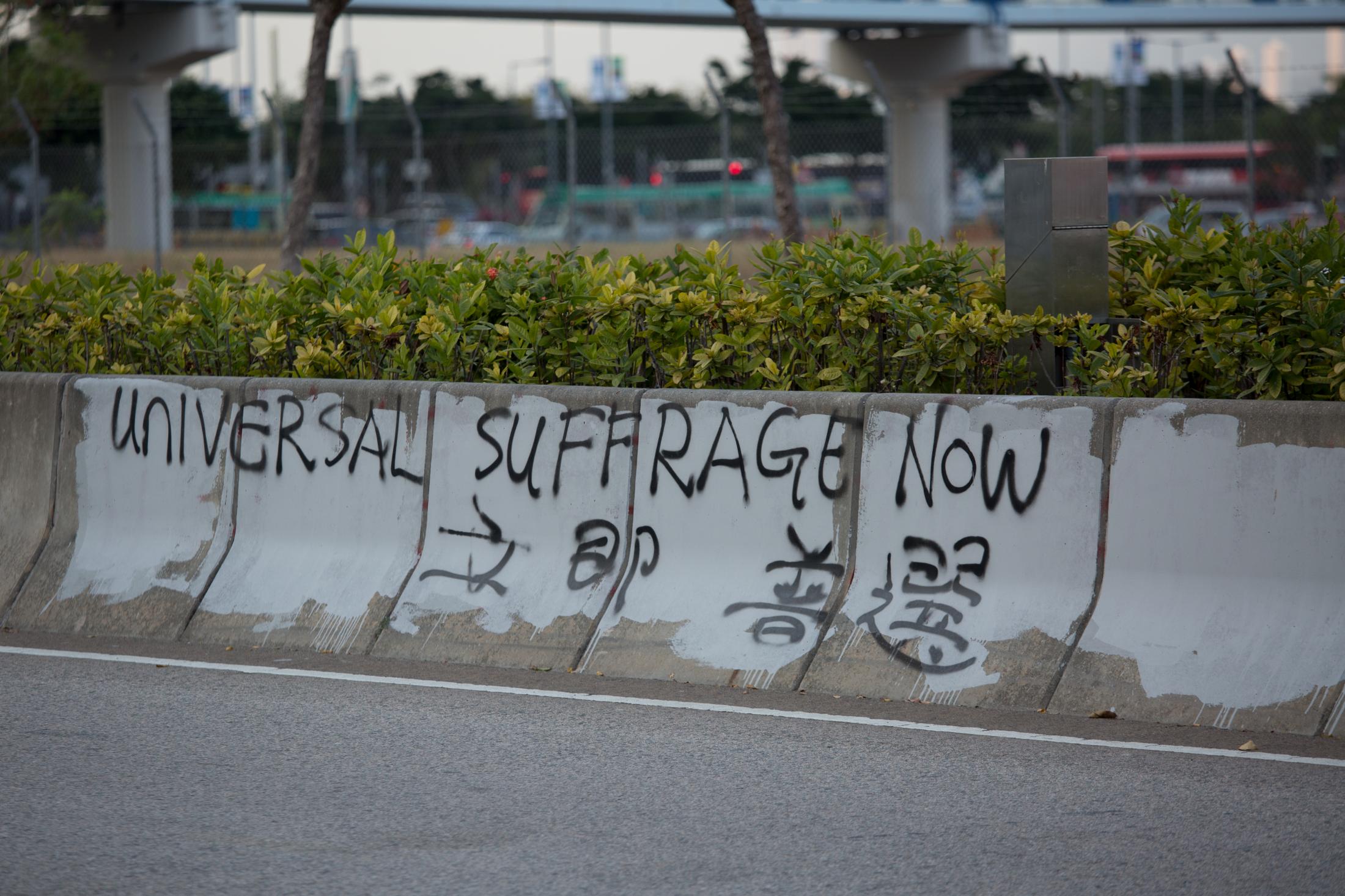 The Enemy of My Enemy - Universal suffrage now is spray-painted on a median in a...