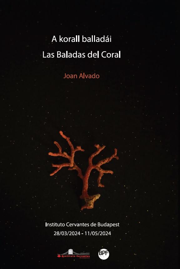 Solo show in Budapest: Las Baladas del Coral at Instituto Cervantes (Budapest Photo Festival)