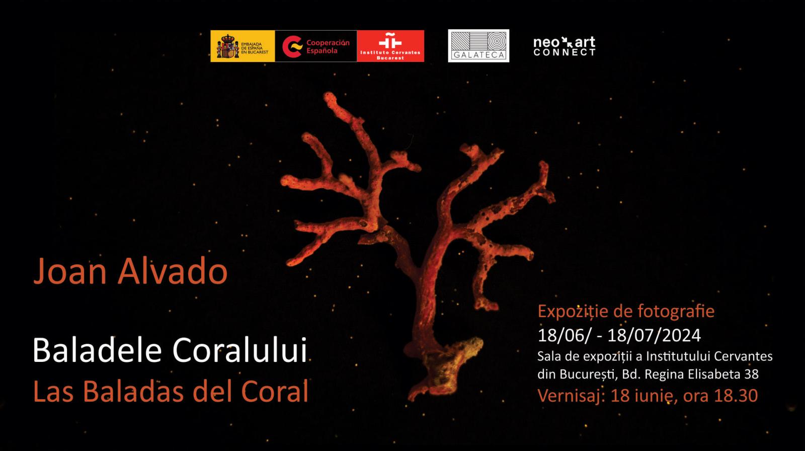 Solo show in Bucharest: Las Baladas del Coral