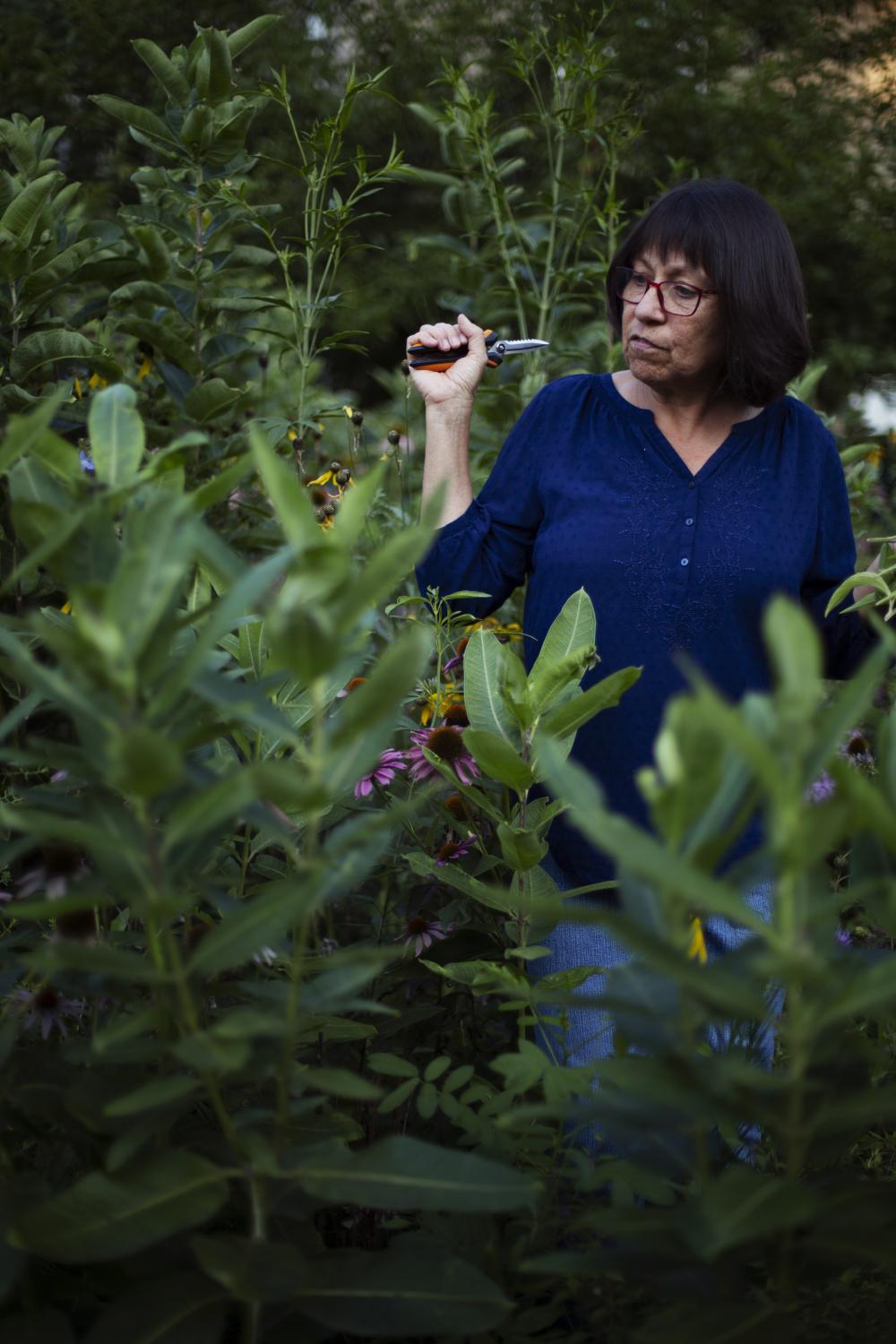 Nadia Navarrete-Tindall shows off some of the native Missouri plants growing in the front yard of her house in Columbia. Navarrete-Tindall started...