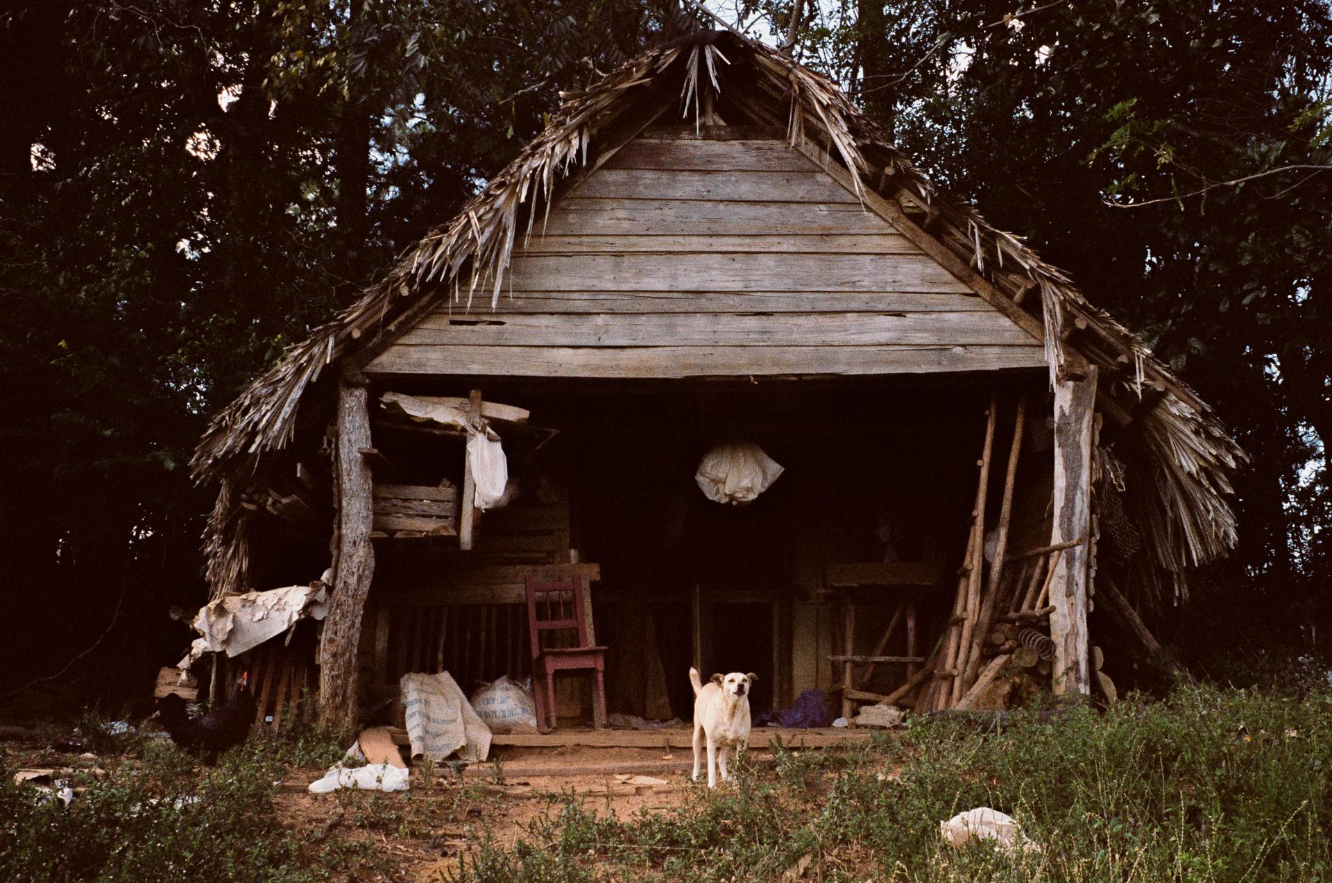 Tobaccoland - VIÑALES.  A dog protecting a hen house at the Casa...