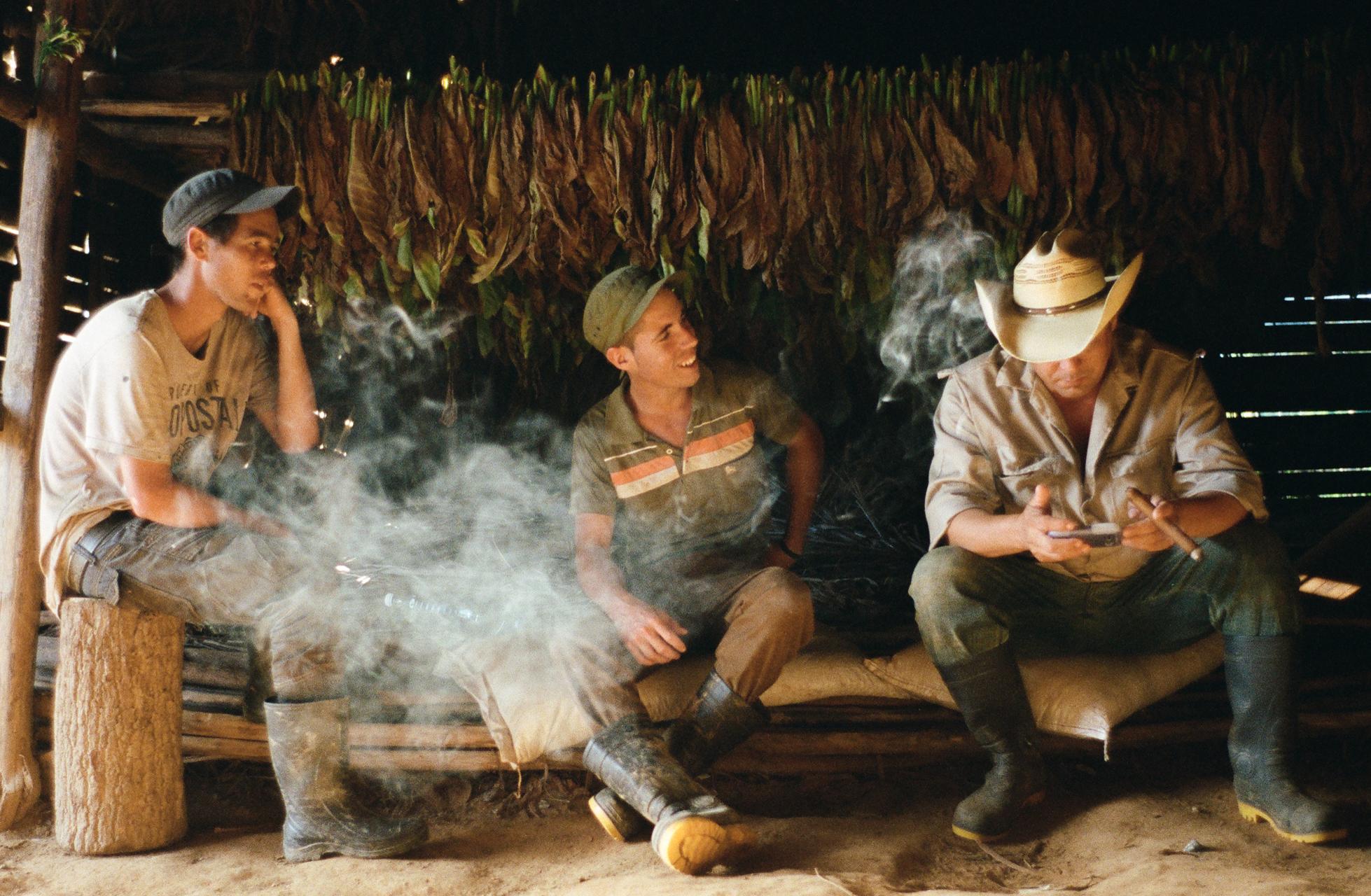 Tobaccoland - VIÑALES.  Three farmers, Richer, Osmani and...