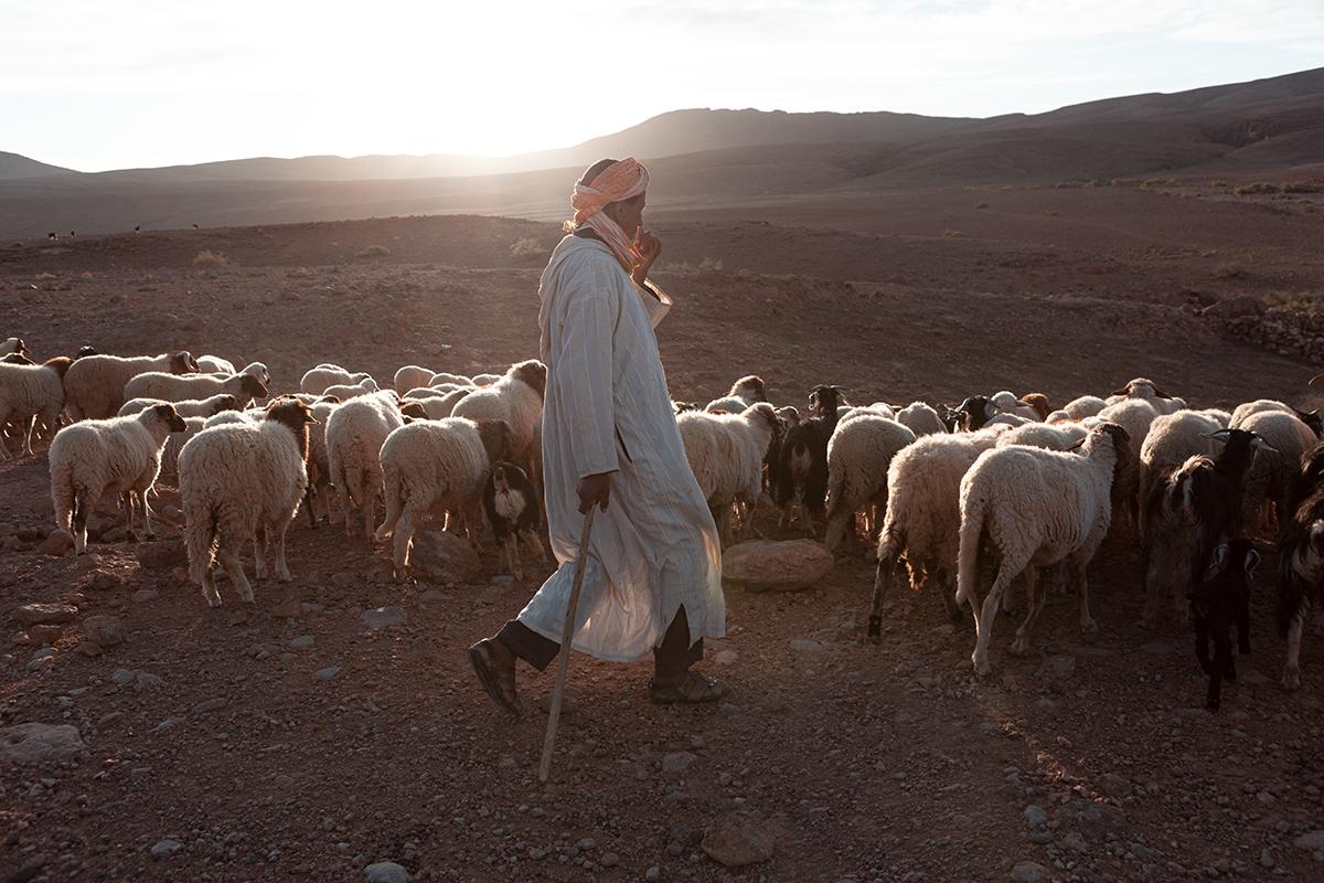 Maroc, les derniers nomades - 