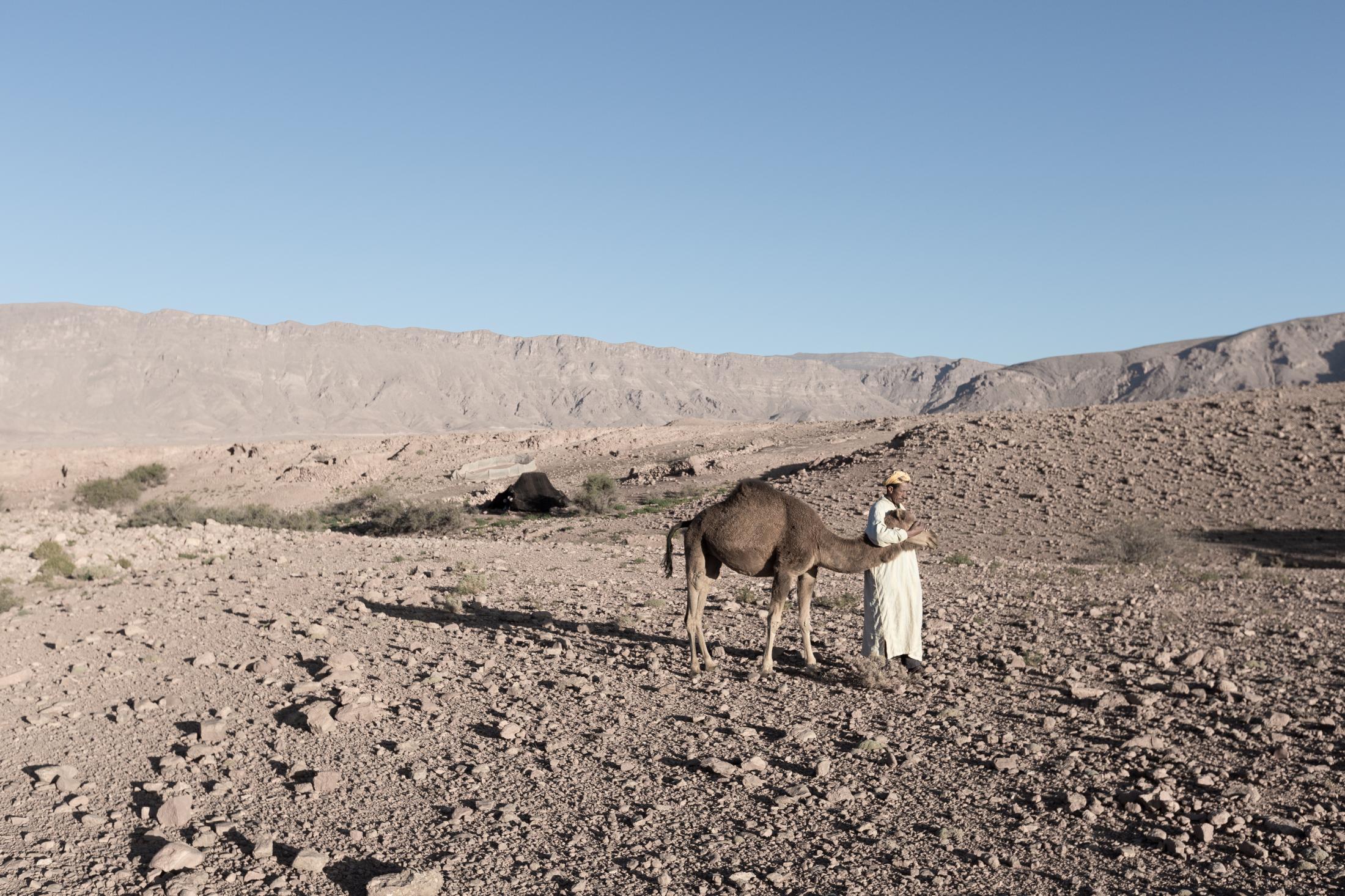 Maroc, les derniers nomades - 