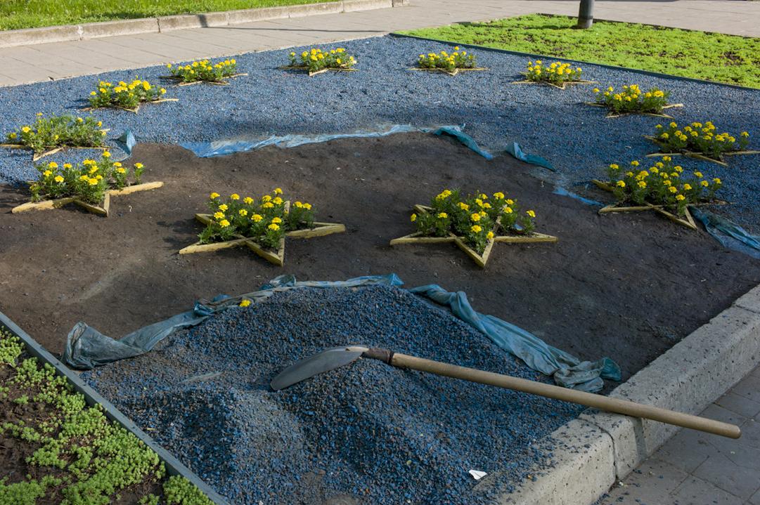 EU star shaped flower beds are ...er of Chisinau, on Mai 5, 2015.
